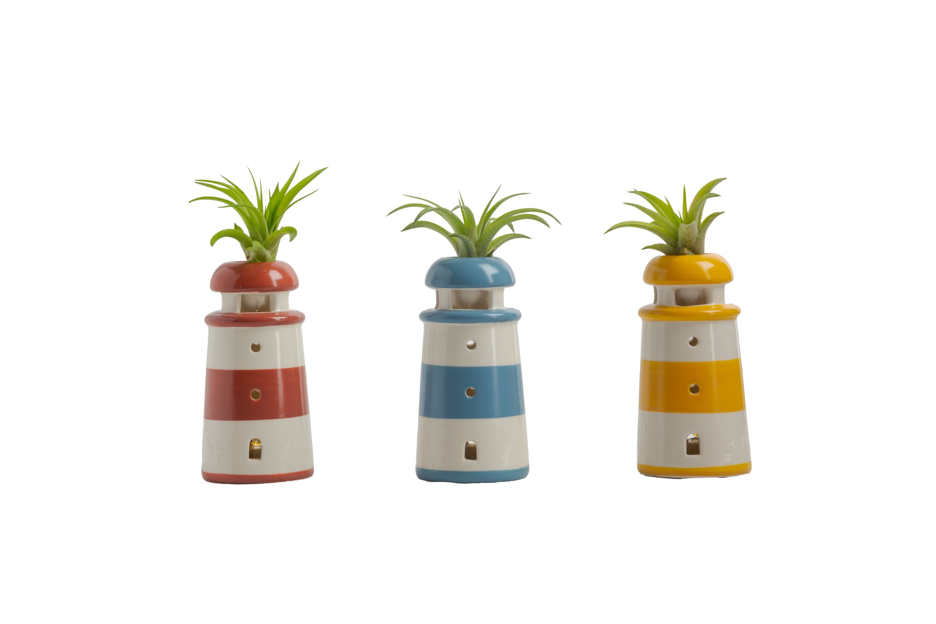 LiveTrends ASB08106 Bright Light House plant in 1 -Pack Pot 1 -Pack
