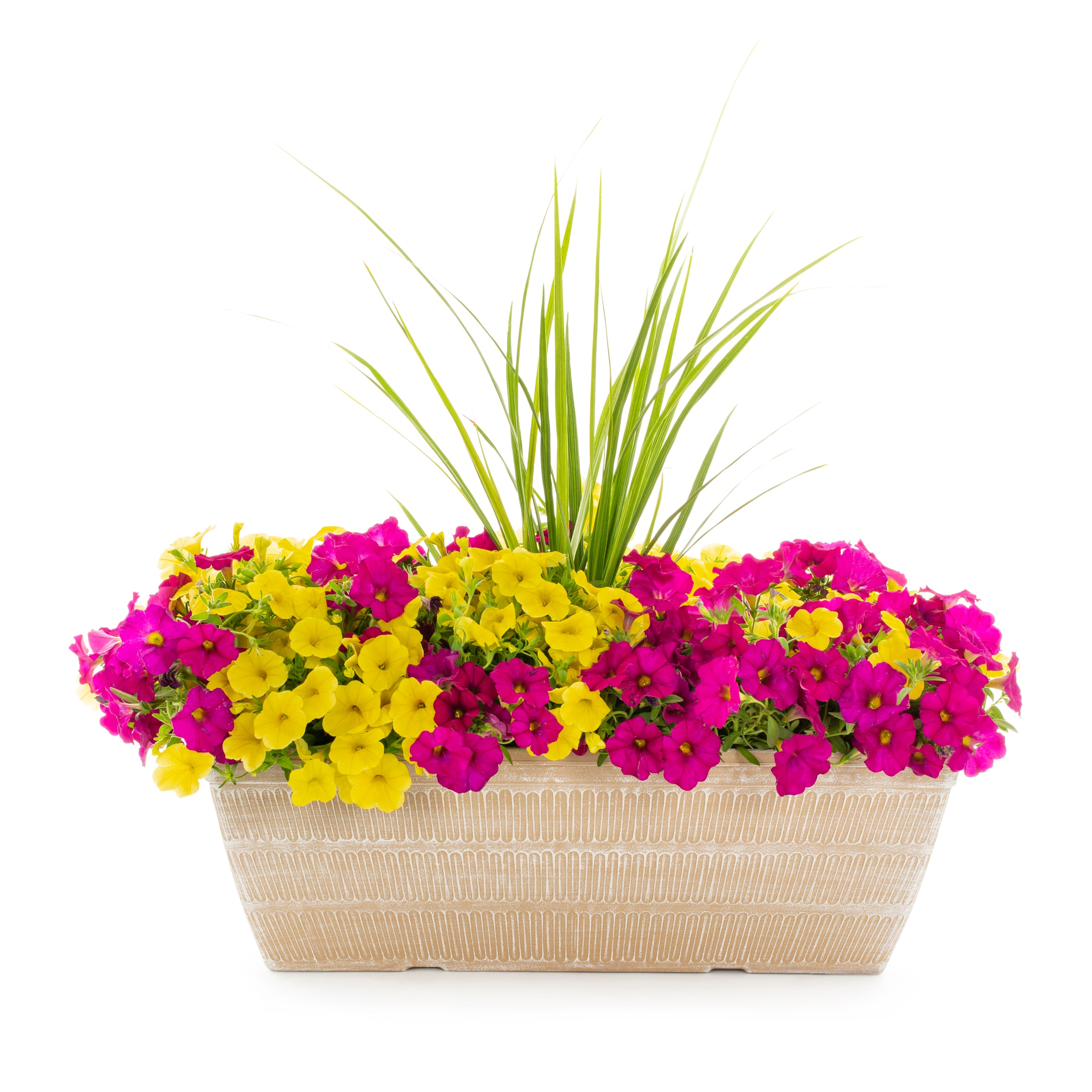 Lowe's NURSERY Multicolor Calibrachoa Mix in 2.50 Gallon(s) Planter