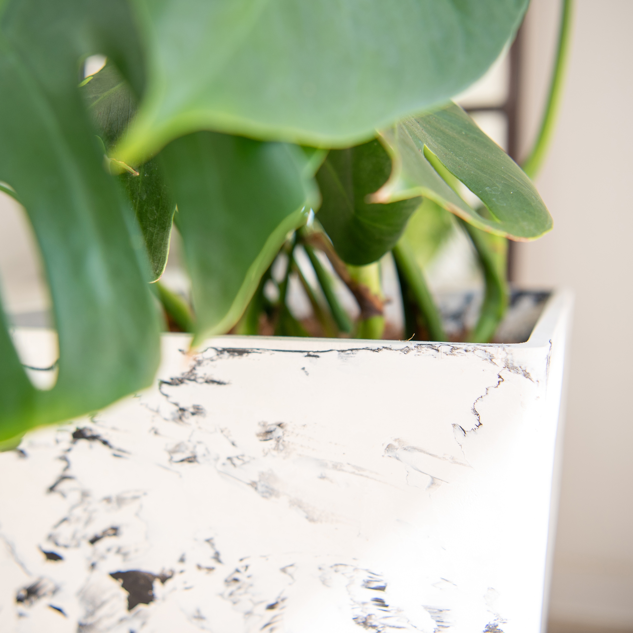 XBrand LW2664BW2 Planter-Window-Box - View #3