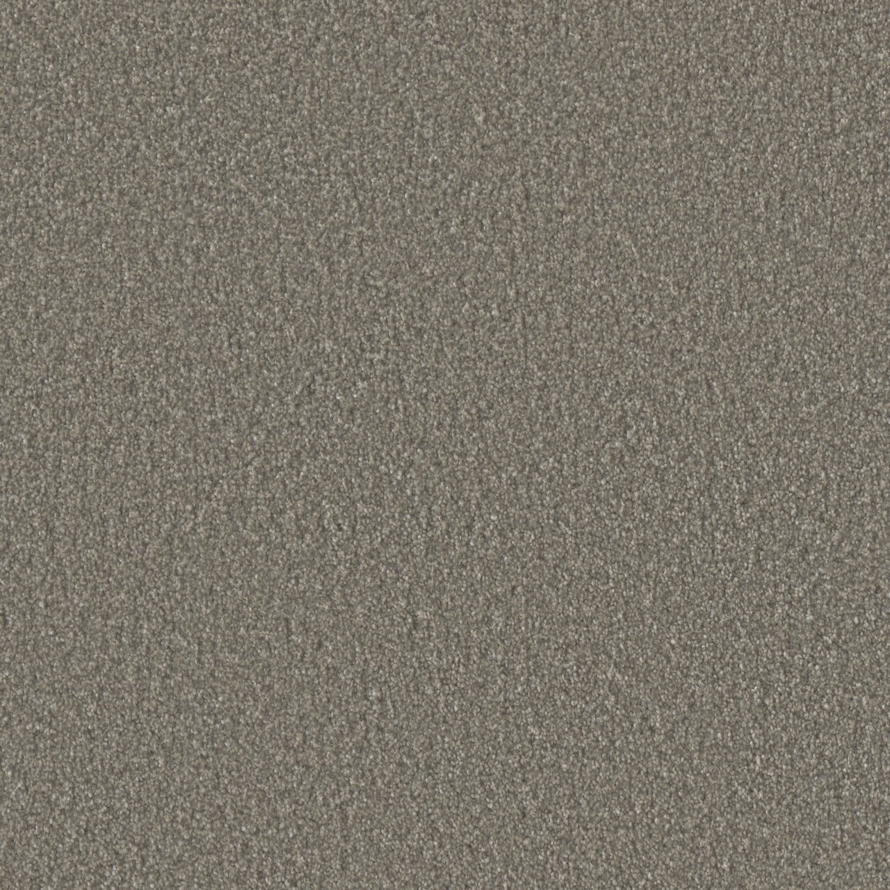 STAINMASTER (Sample) Lincoln Gray 60-oz sq yard Solution-dyed Polyester ...