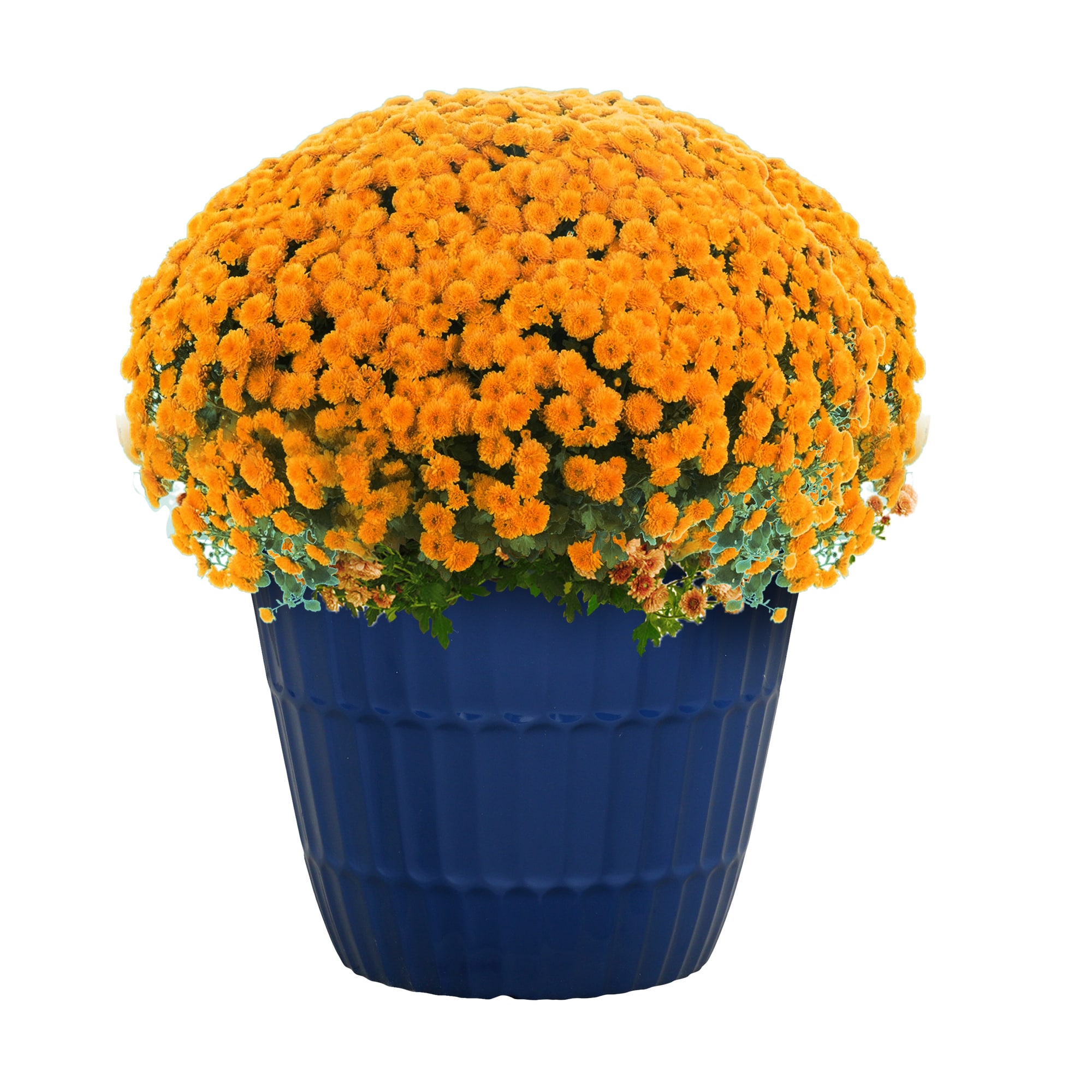 Style Selections PLG1709PBG Planter-Window-Box - View #3