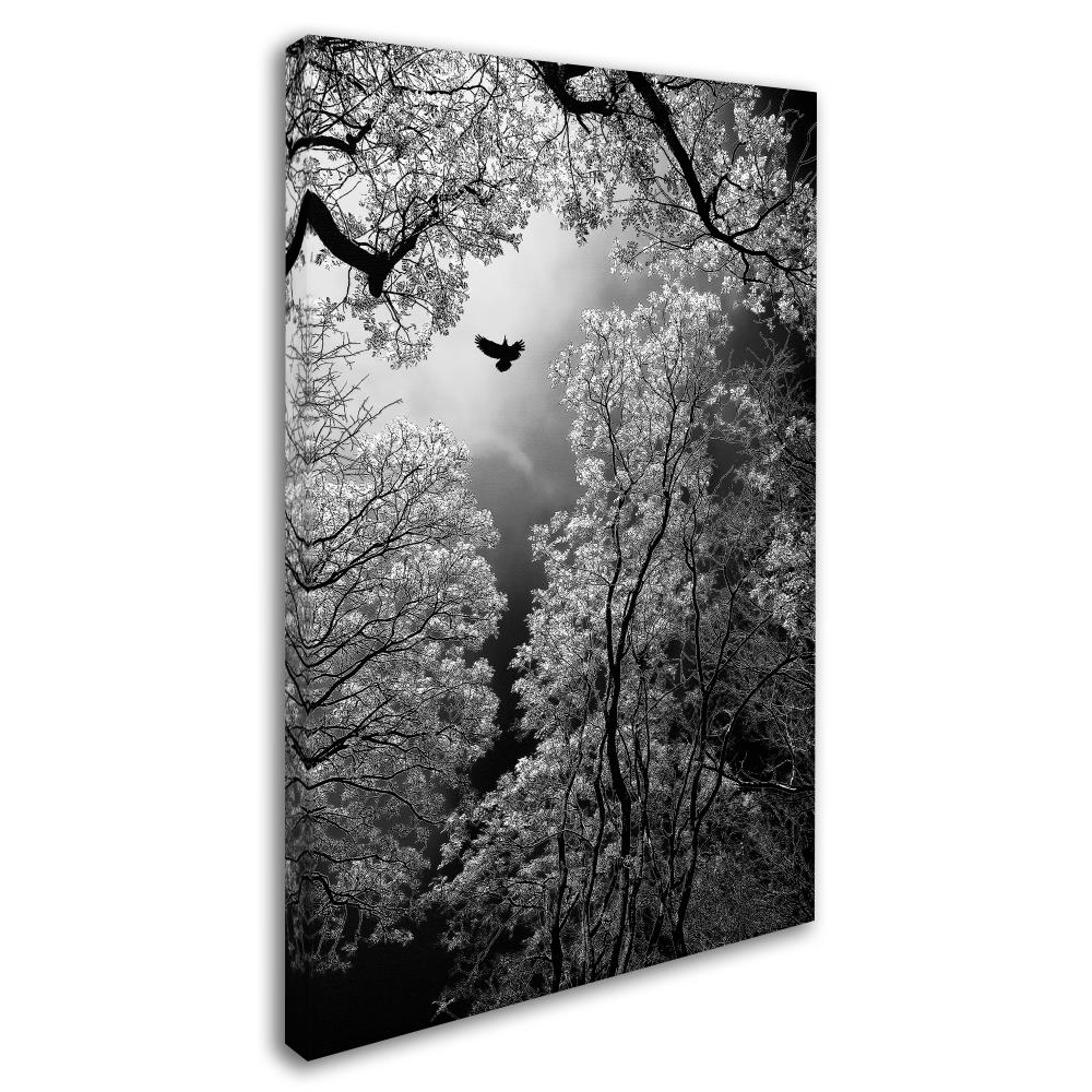 Trademark Fine Art 1X04012-C2232GG Wall-Art - View #3