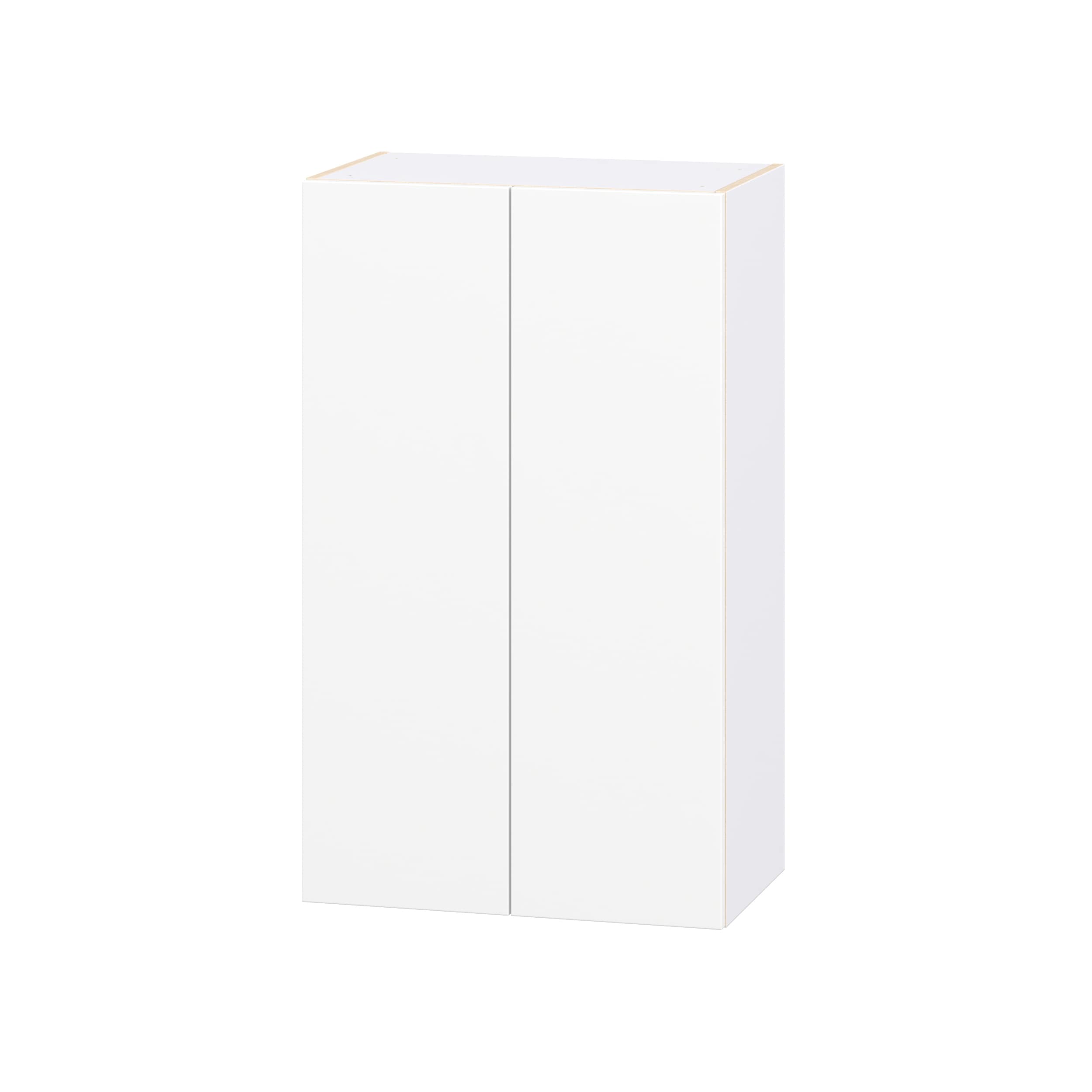 Hugo&Borg Lasalle 24-in W x 40-in H x 14.75-in D Bright White Slab Wall Fully Assembled Cabinet Flat Panel Slab