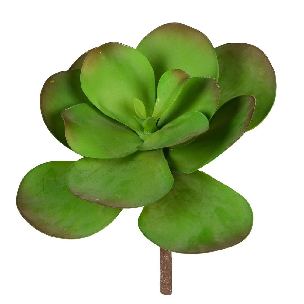 Vickerman FH180201 12-in Green Indoor Succulent Artificial Plant