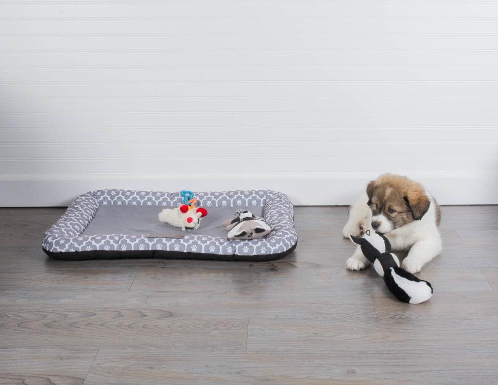 DII CAMZ37287 Pet-Beds - View #8