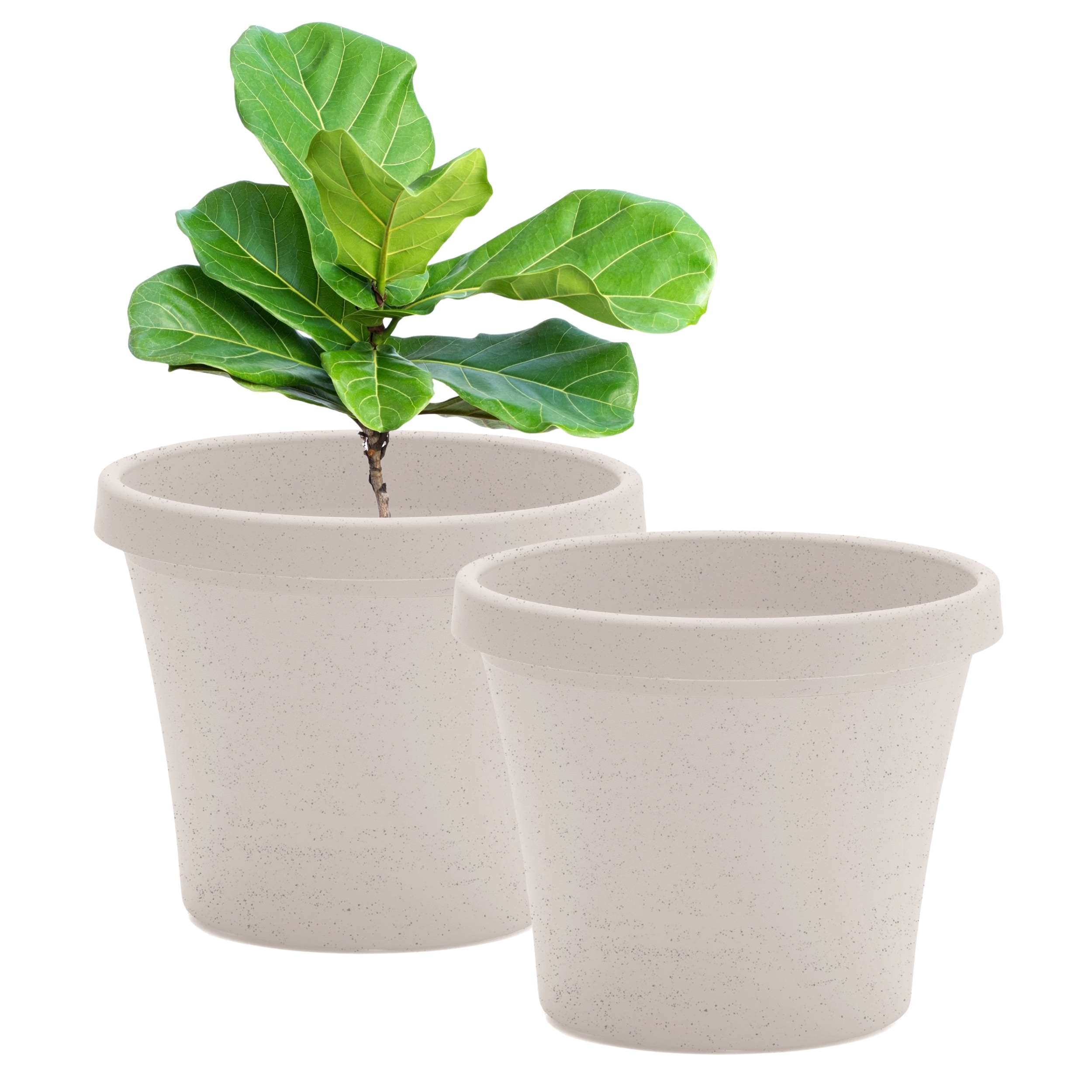 Bloem  Terra 14-in Plastic Planter - 5 Gallon - Vanilla Bean - 2-Pack