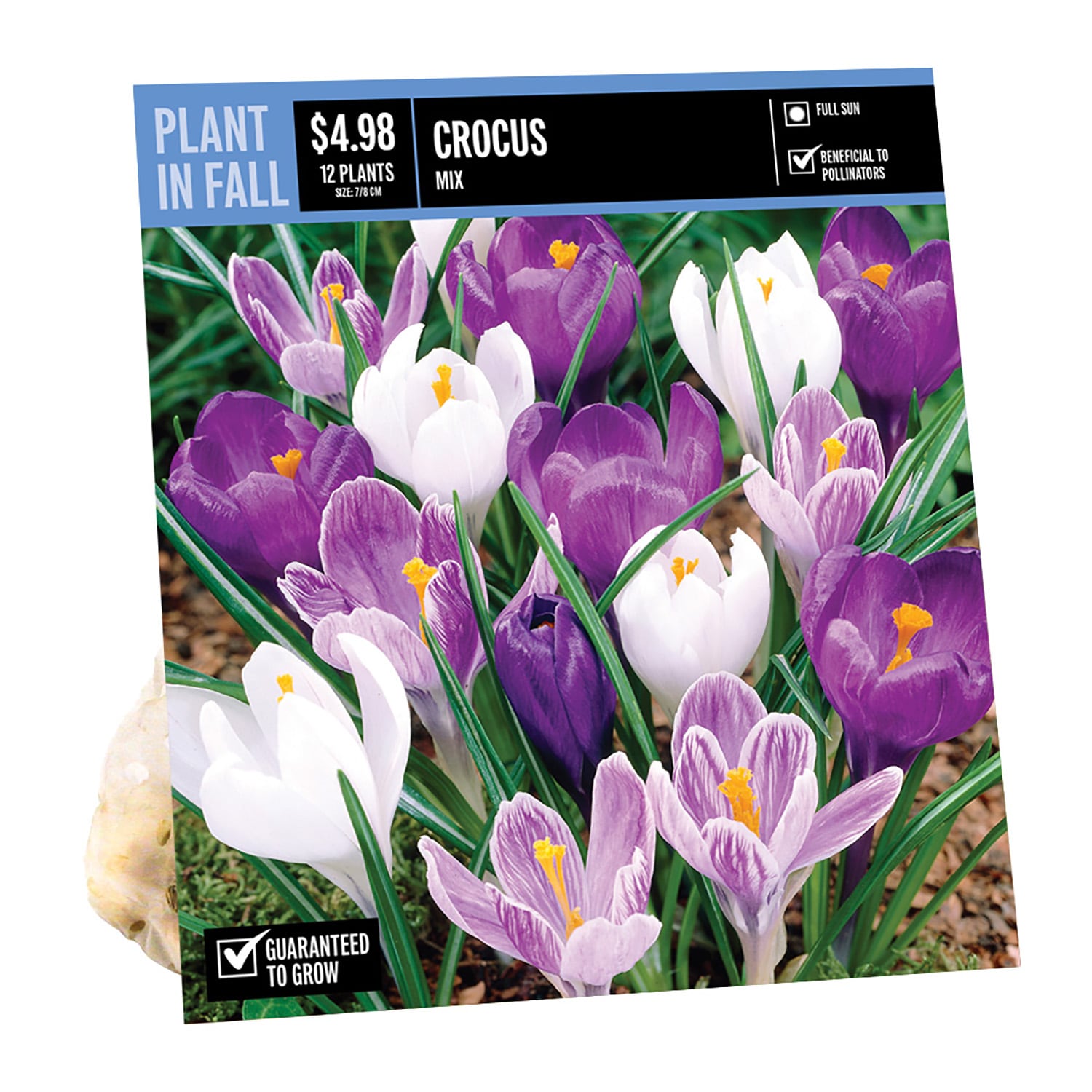 NURSERY CROCUS MIX  PBS