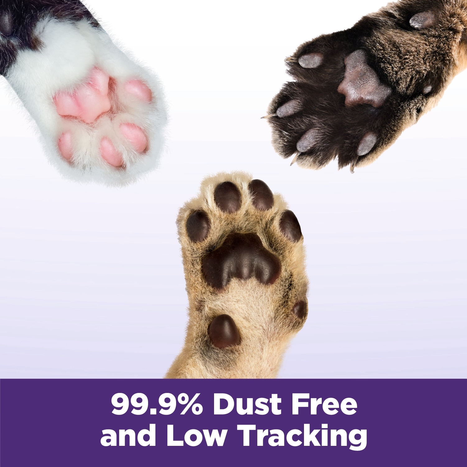 Arm & Hammer 3320097360 Cat-Litter - View #11