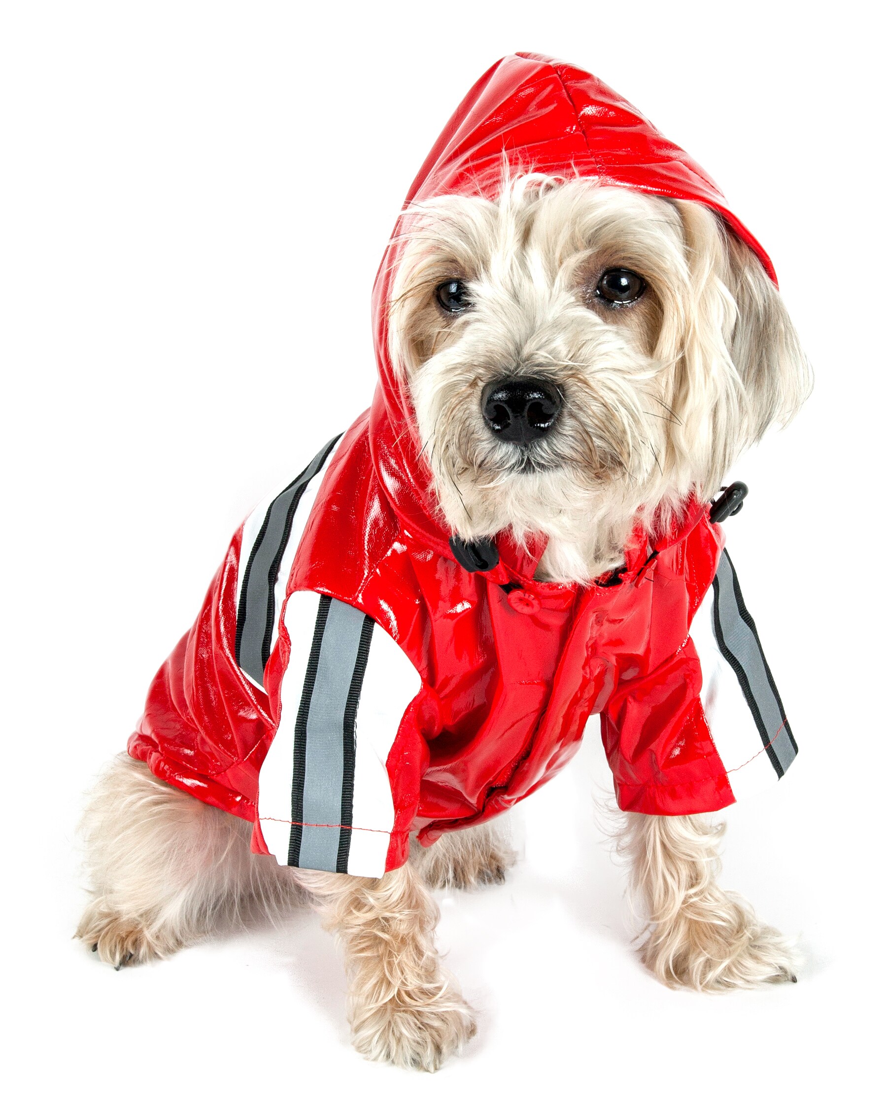 Pet Life R4RDSM Dog-Apparel - View #2