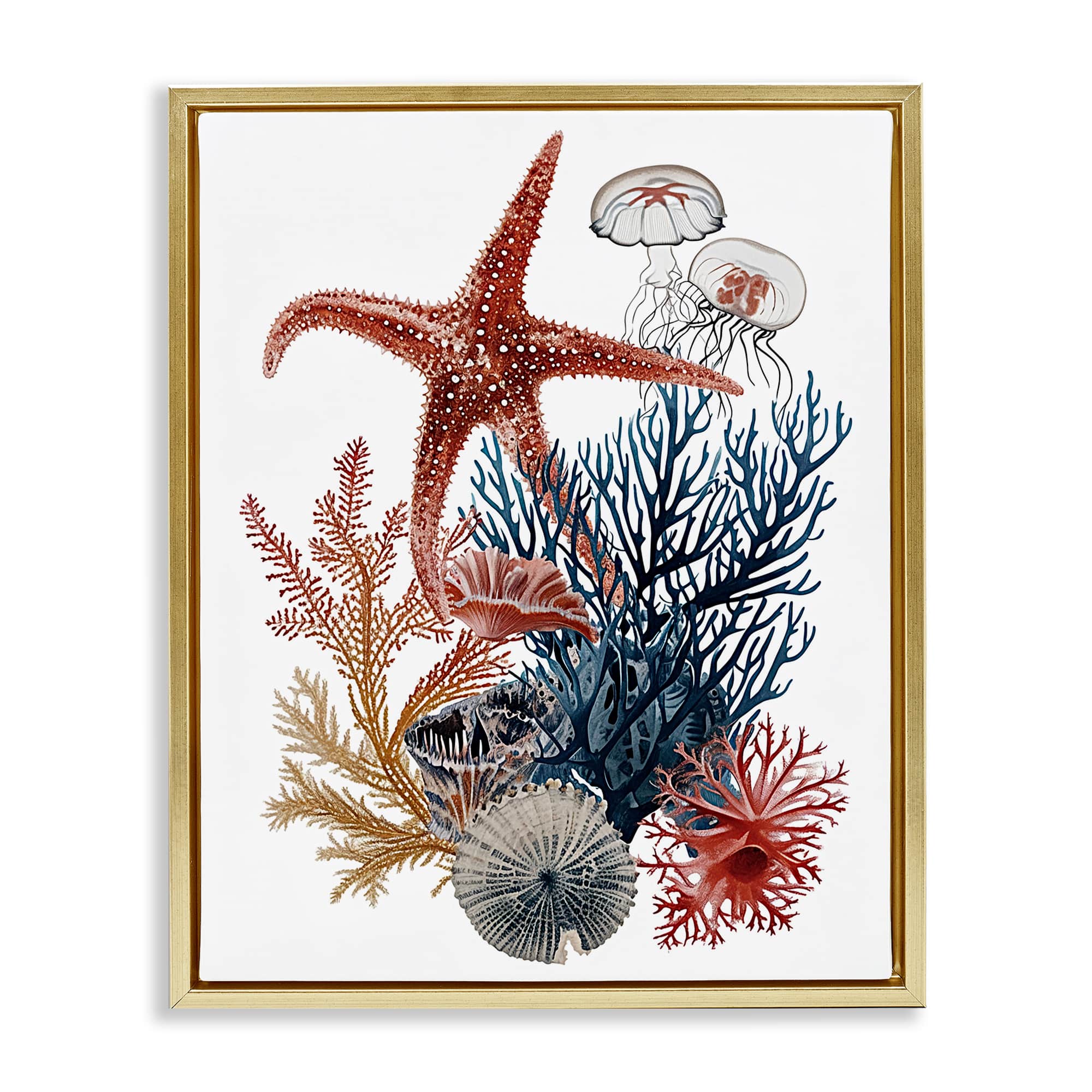 Stupell Industries BS-975-FFG-24X30 Natural Aquatic Sea Creatures Floating Frame design by Ramona Murdock