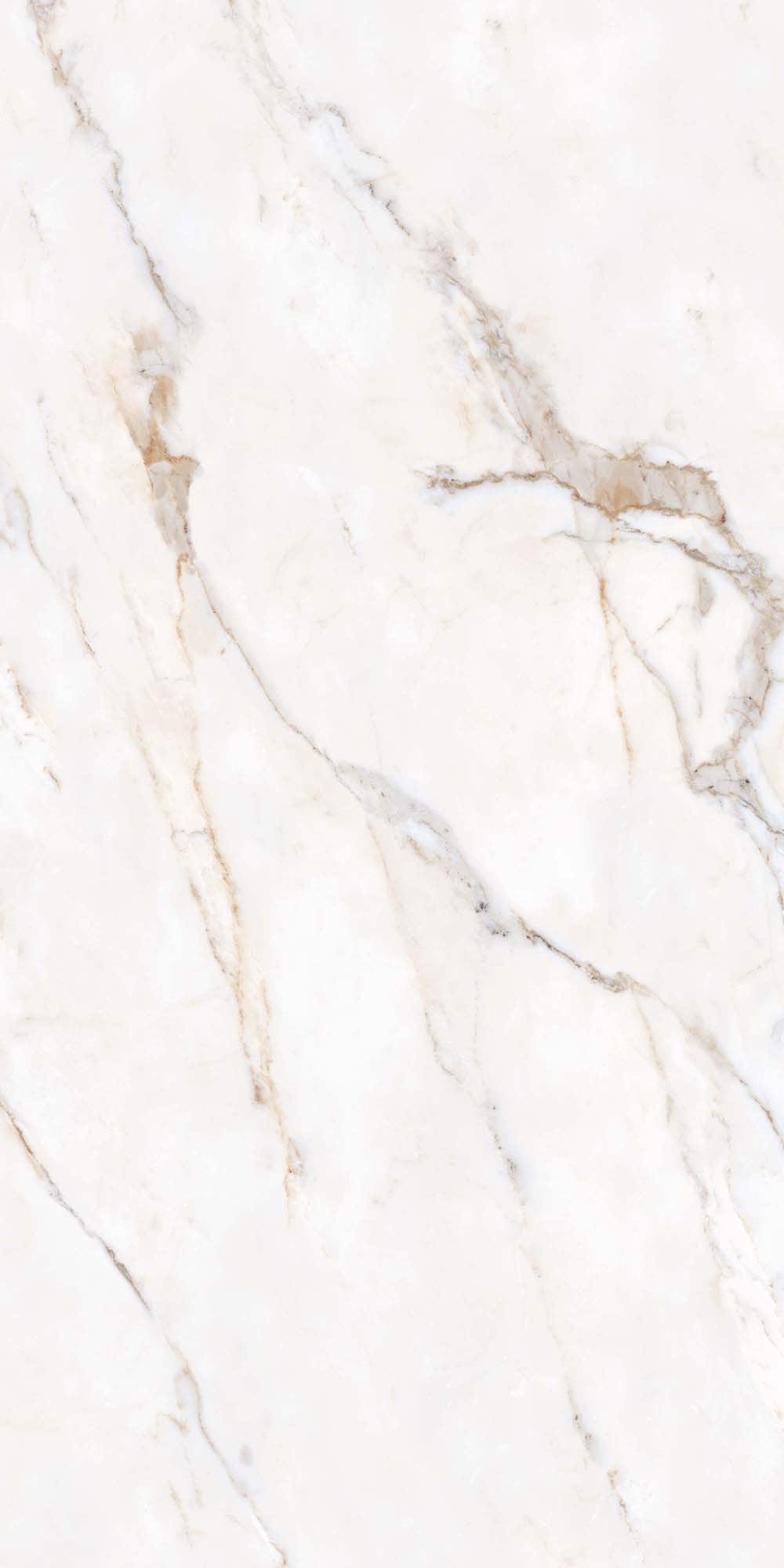 Calacatta Extra White 24-in x 48-in Matte Porcelain Marble Look Floor and Wall Tile (7.925-sq. ft/ Piece) | - American Villa 1097250