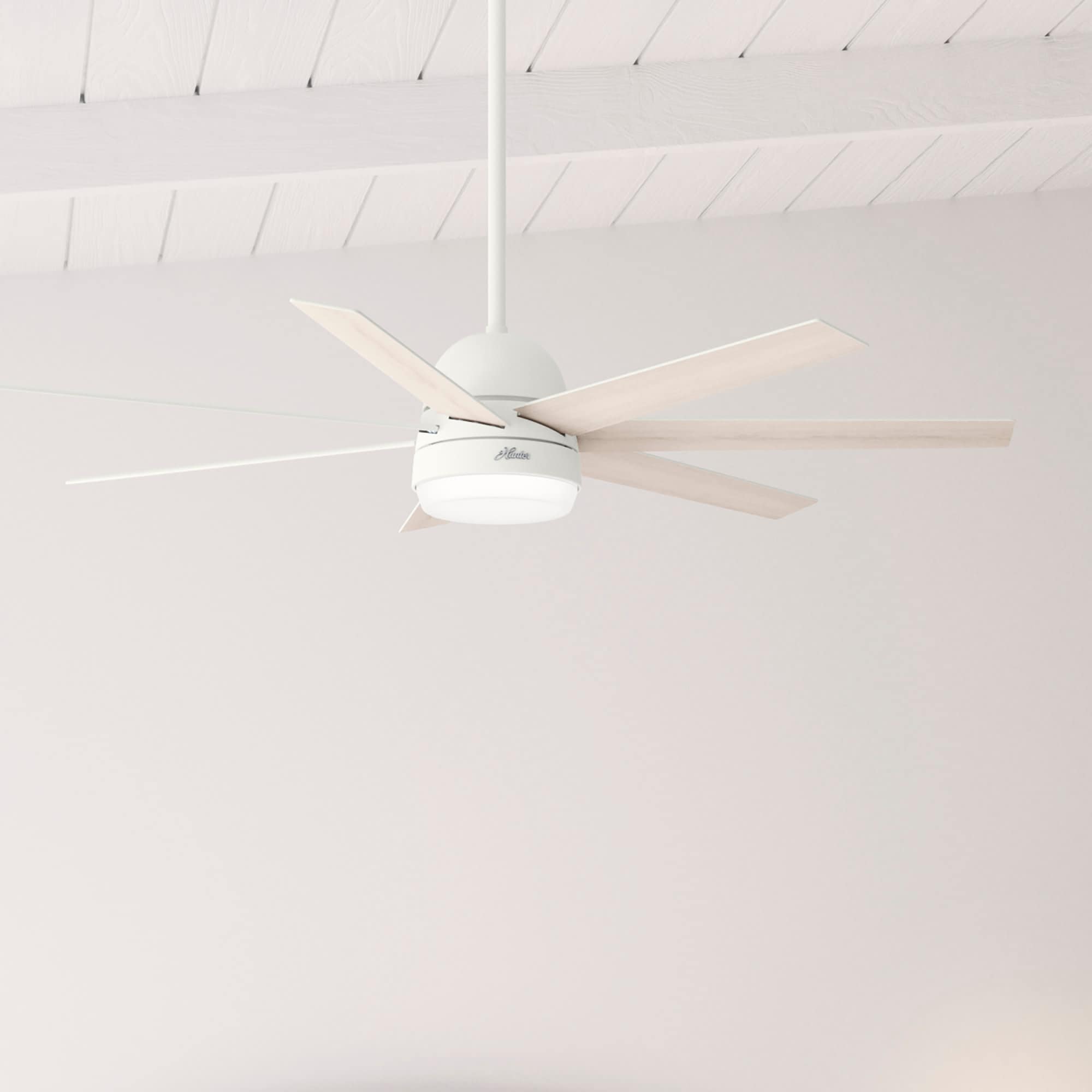 Hunter 51375 Ceiling-Fans - View #3