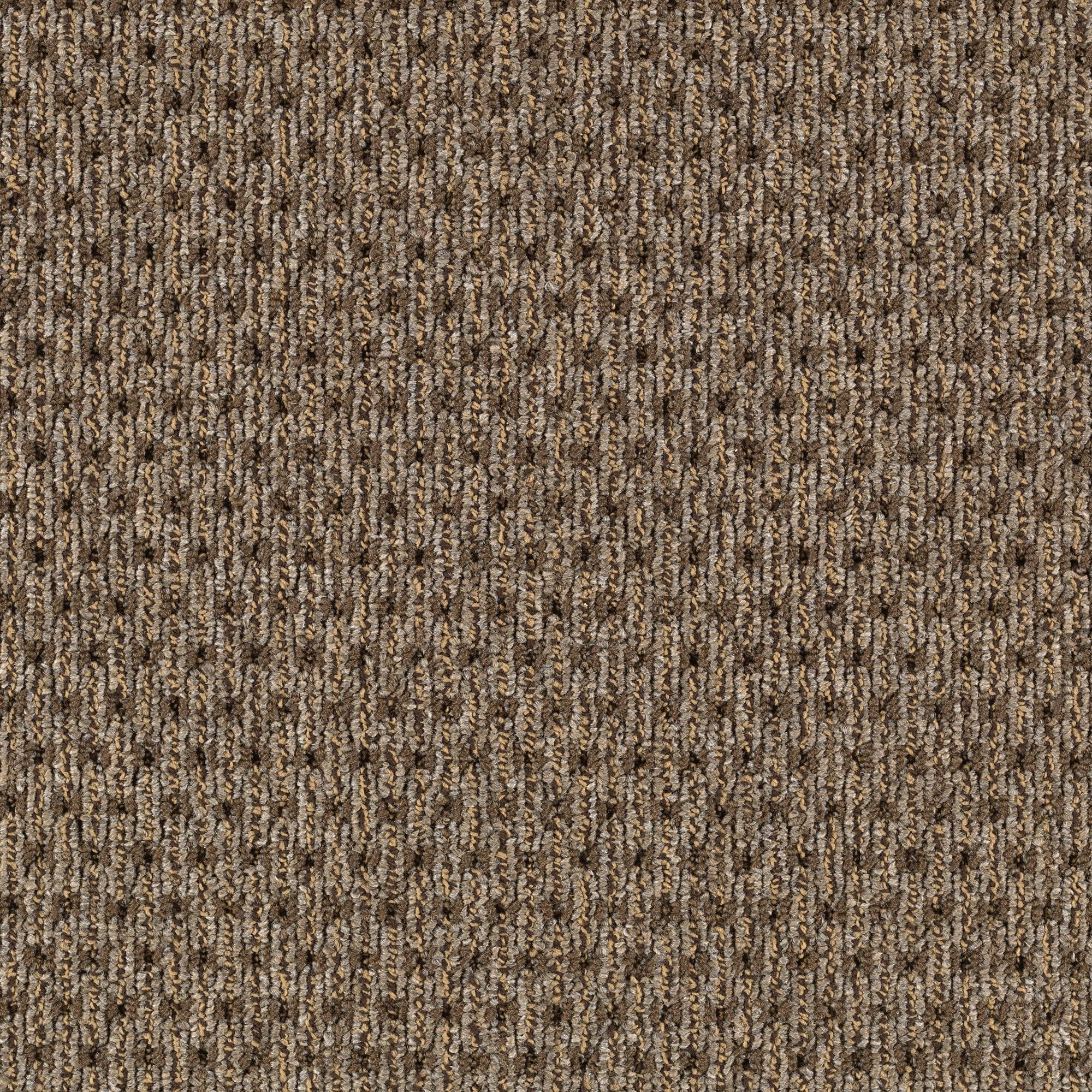Mohawk LC47-L002-0808 (Sample) Home and Office Dine In Balancing Act Brown 22-oz sq yard Nylon Textured Indoor Carpet
