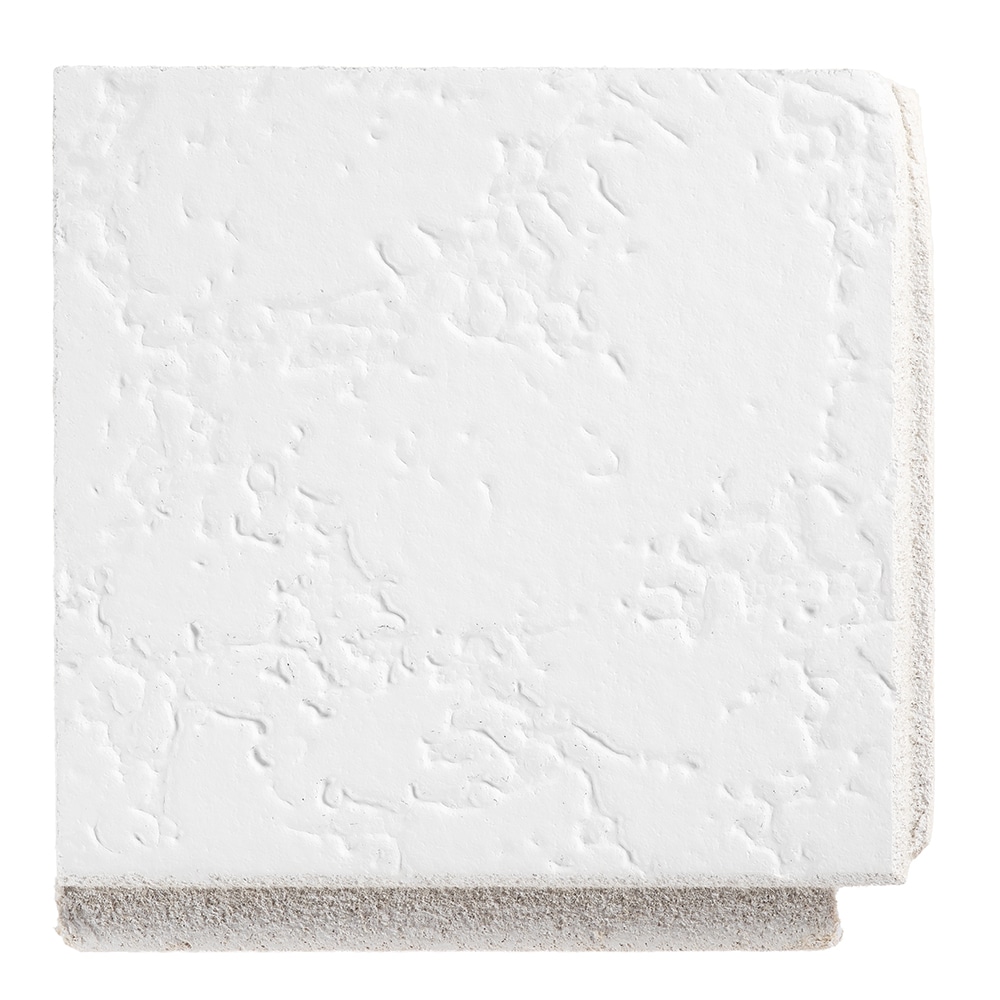 Armstrong Ceilings RSM297 Ceiling-Tile-Samples - View #2