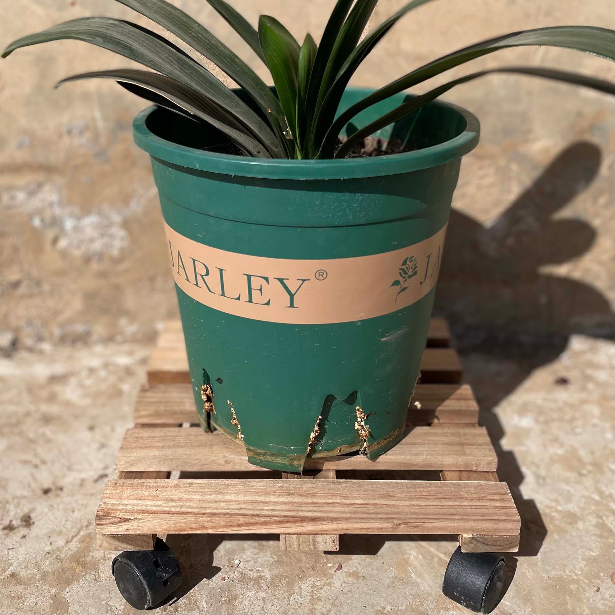Style Selections TA202130A Plant-Caddy-Cart - View #3