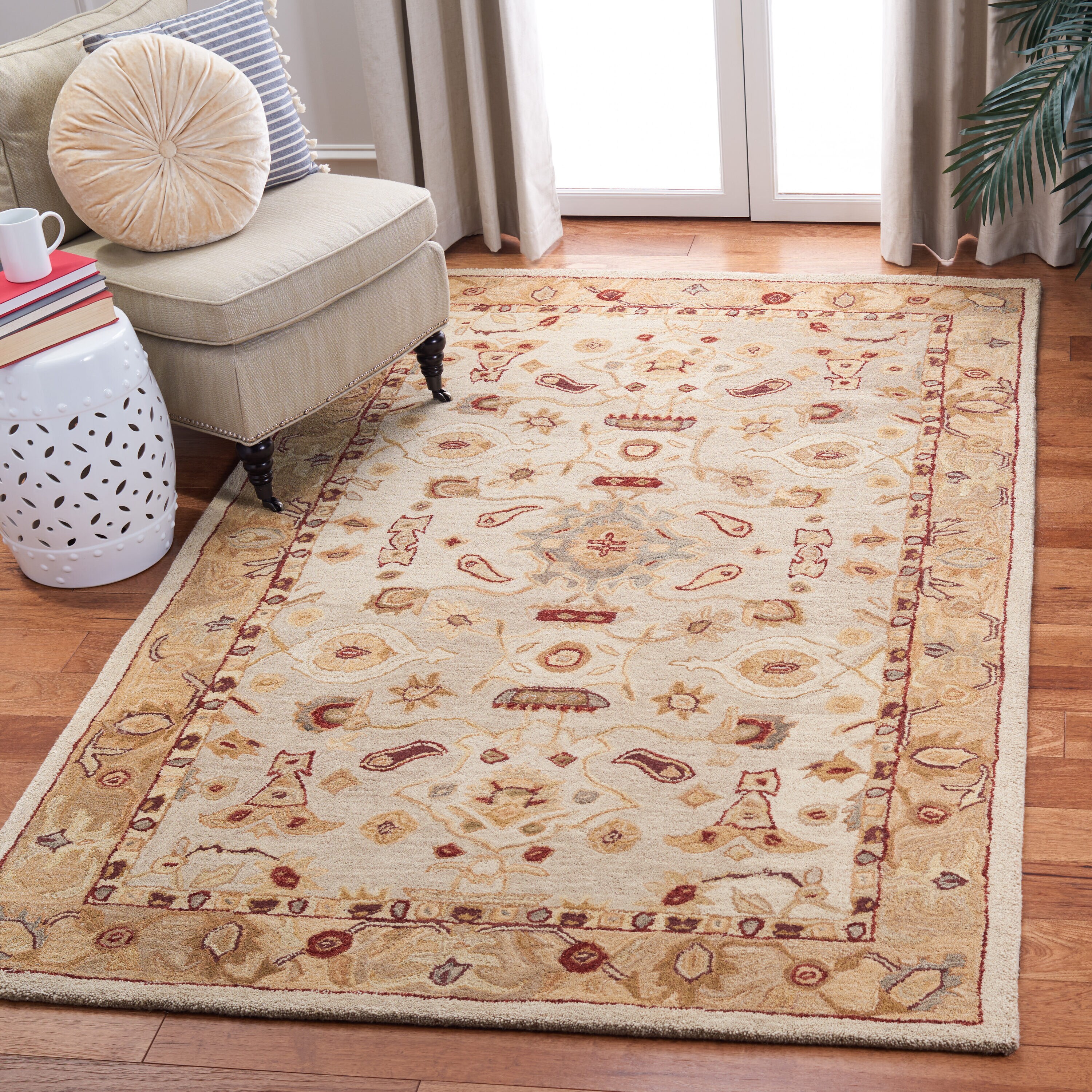 Safavieh AN543C-6 rugs - View #2