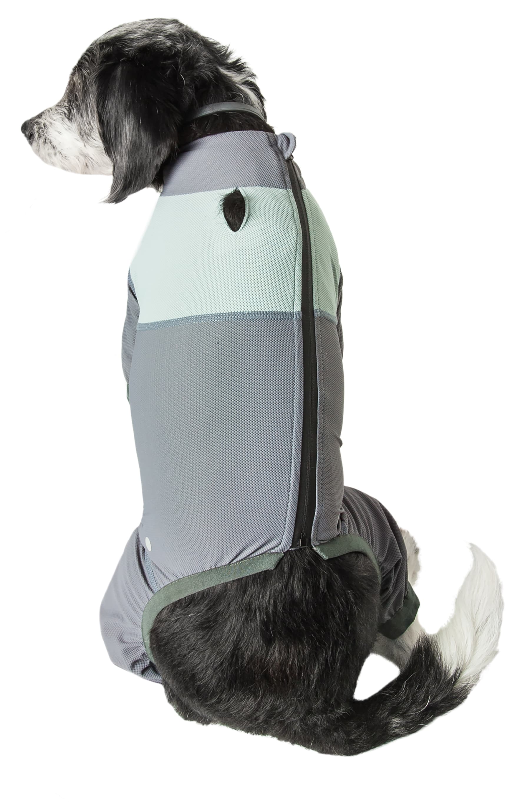 Dog Helios YGHL9GYXS Dog-Apparel - View #3