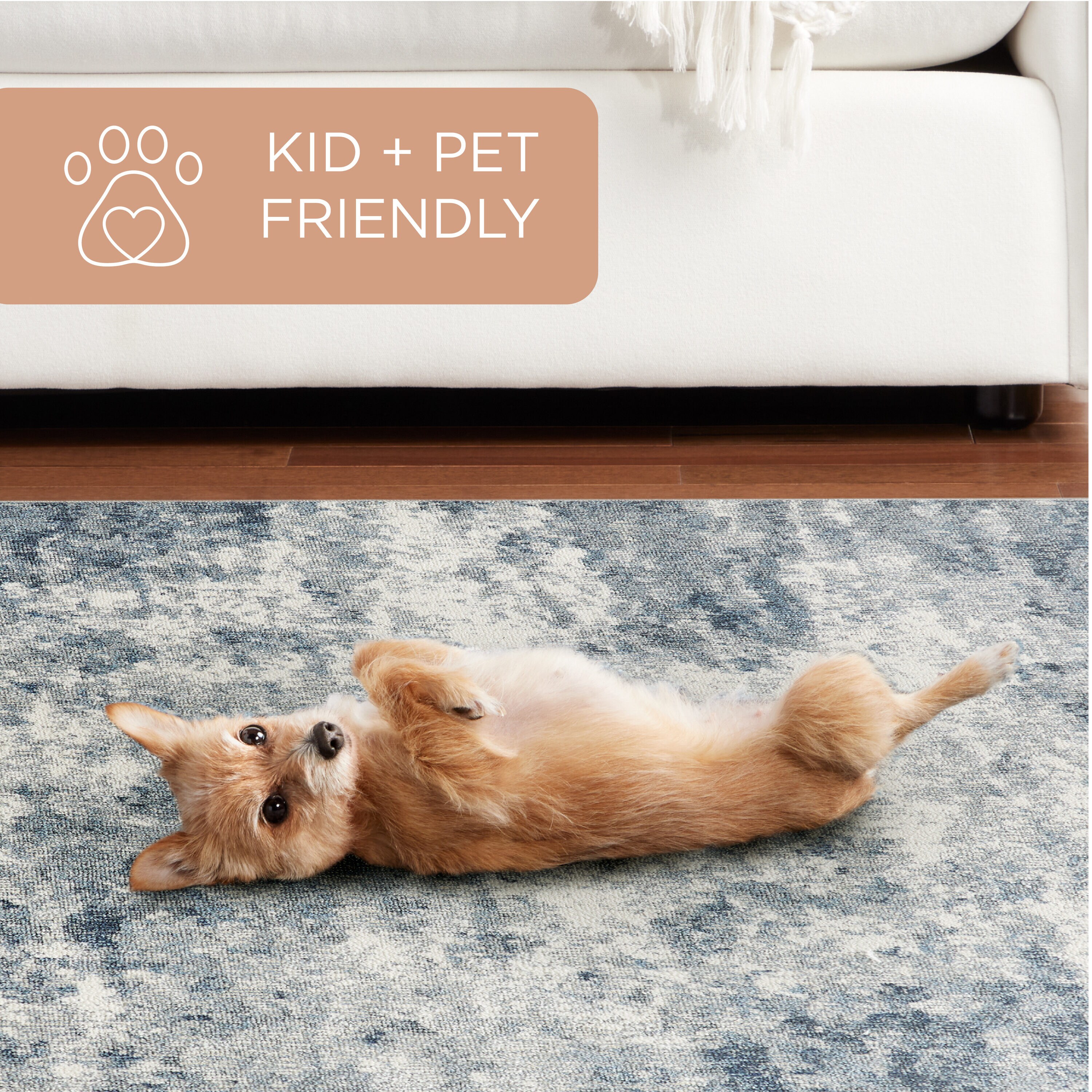Town & Country Living 2A-12-309 rugs - View #4