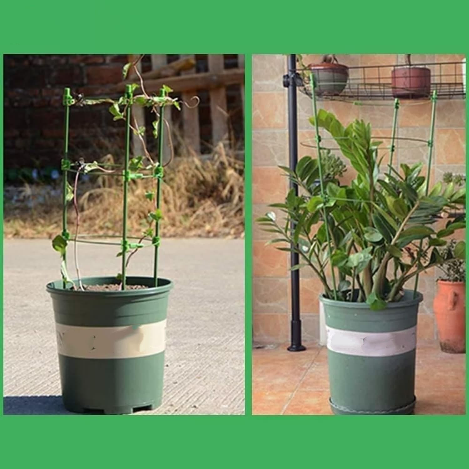 Angel Sar L2ZQYA506TOM09 Tomato-Cages - View #6