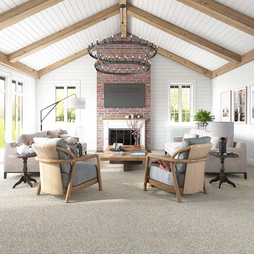 STAINMASTER SS004-12-L004 Carpet-Panel - View #3