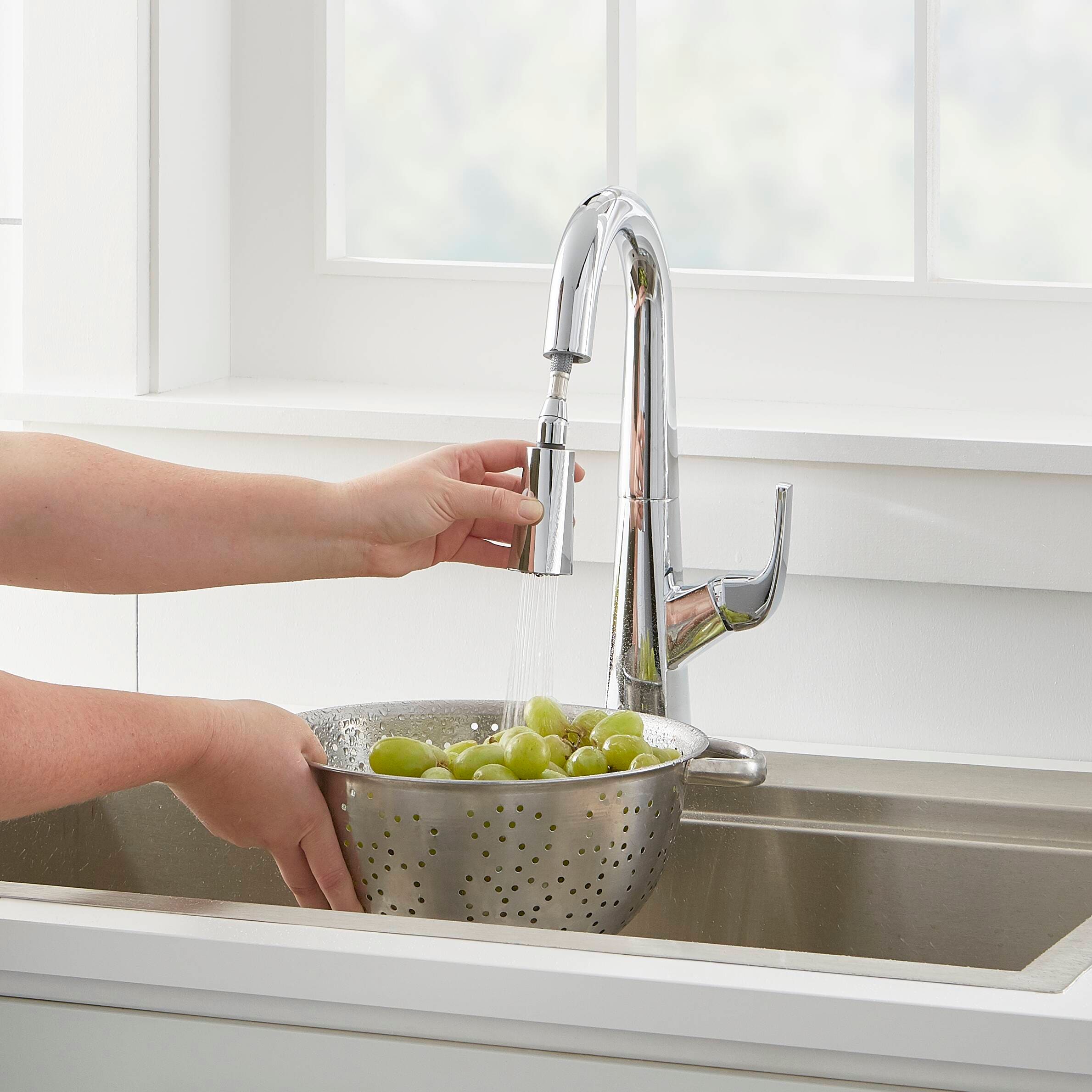 Gerber Chrome Single Handle Bar and Prep Kitchen Faucet with Sprayer in ...