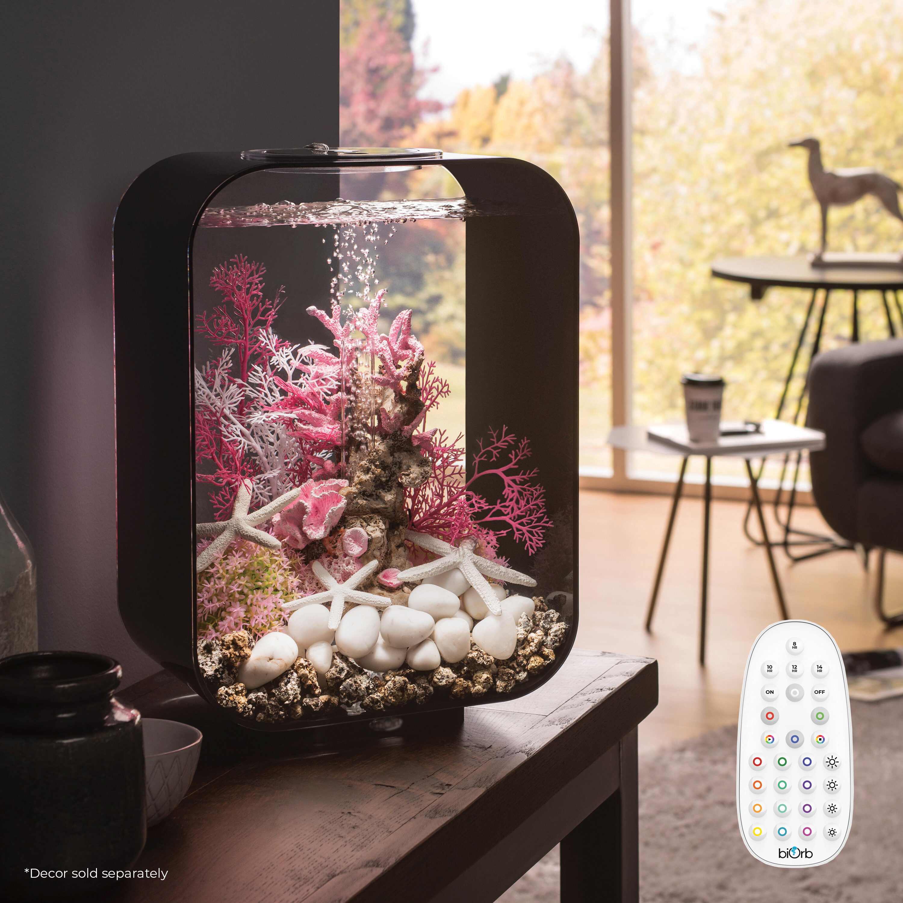 biOrb 72051 Terrariums-Habitats - View #2