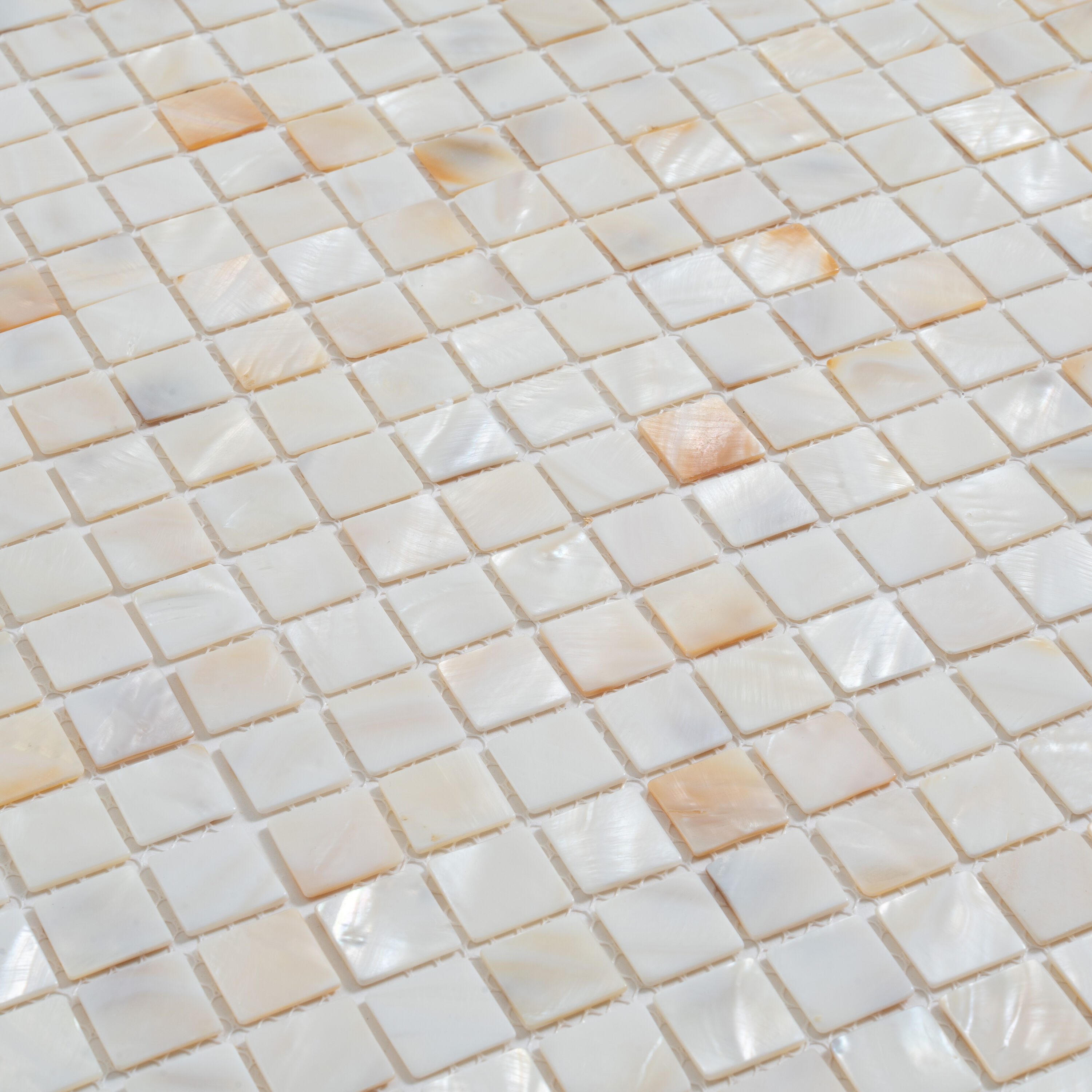 Apollo Tile (Sample) Wall Cream Natural Shell 4-in x 4-in Polished Marble Uniform Squares Patterned Wall Tile