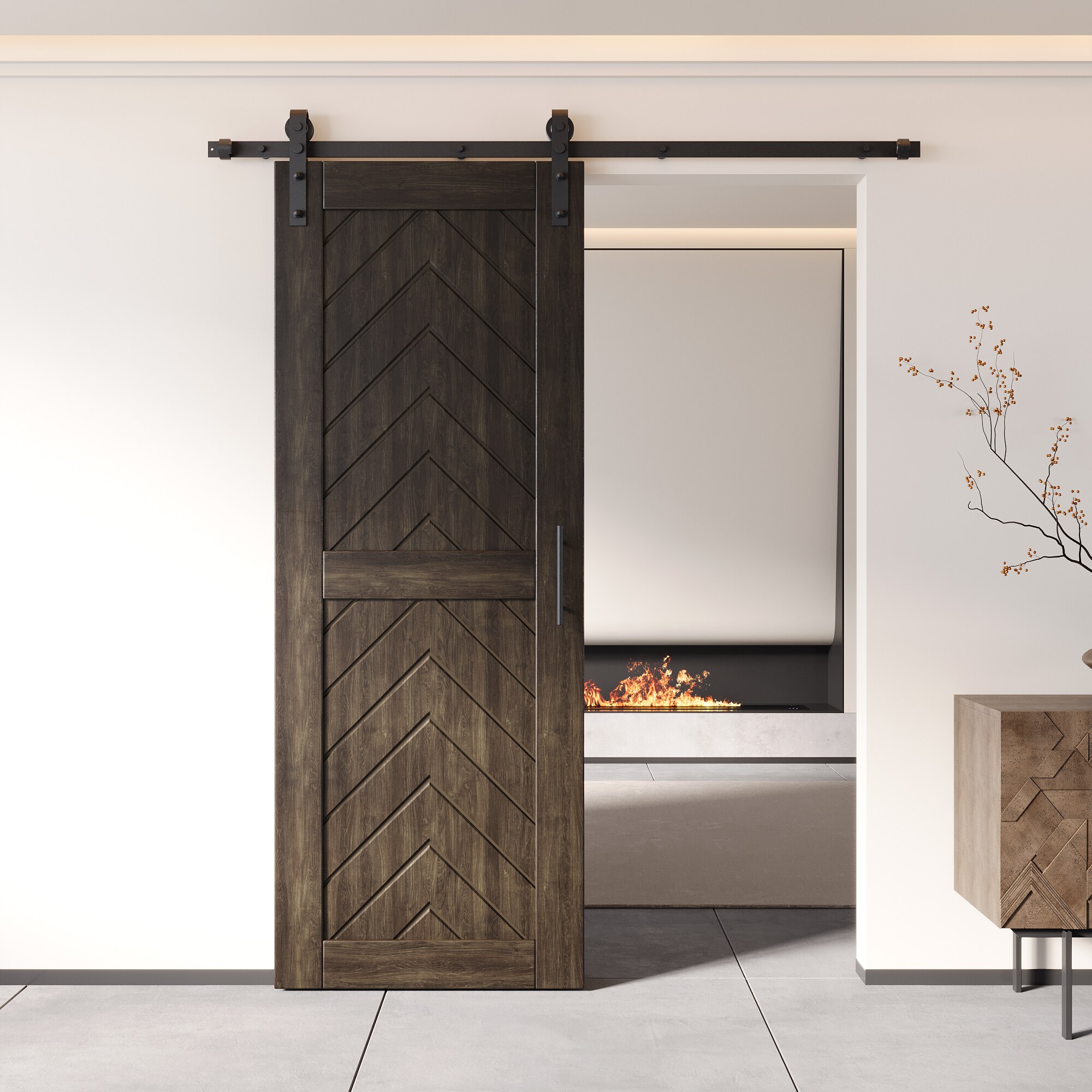 HOMACER YT1H066C-JT1-3080-EB Barn-Doors - View #8