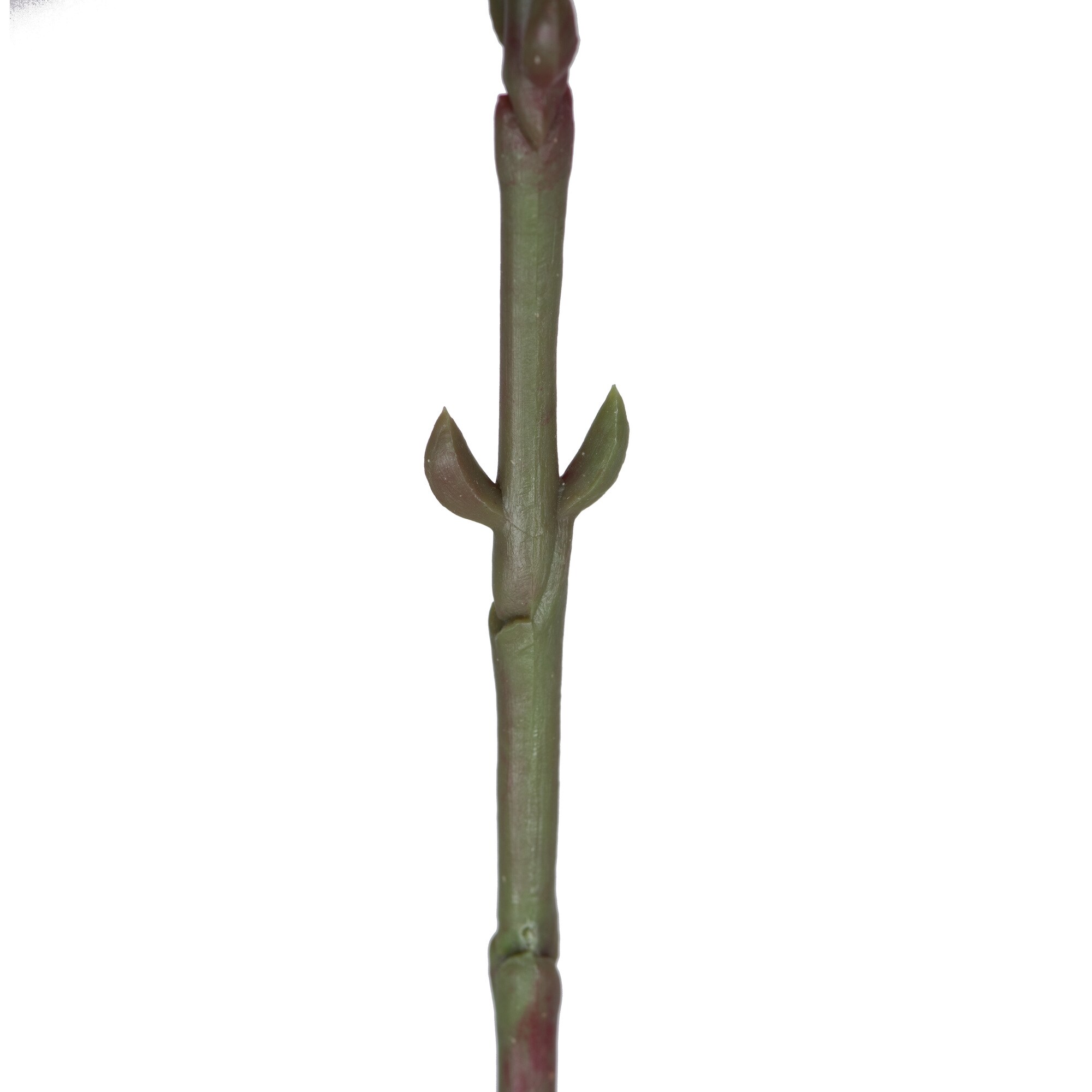 Vickerman FD180166 Artificial-Plants-Trees - View #4