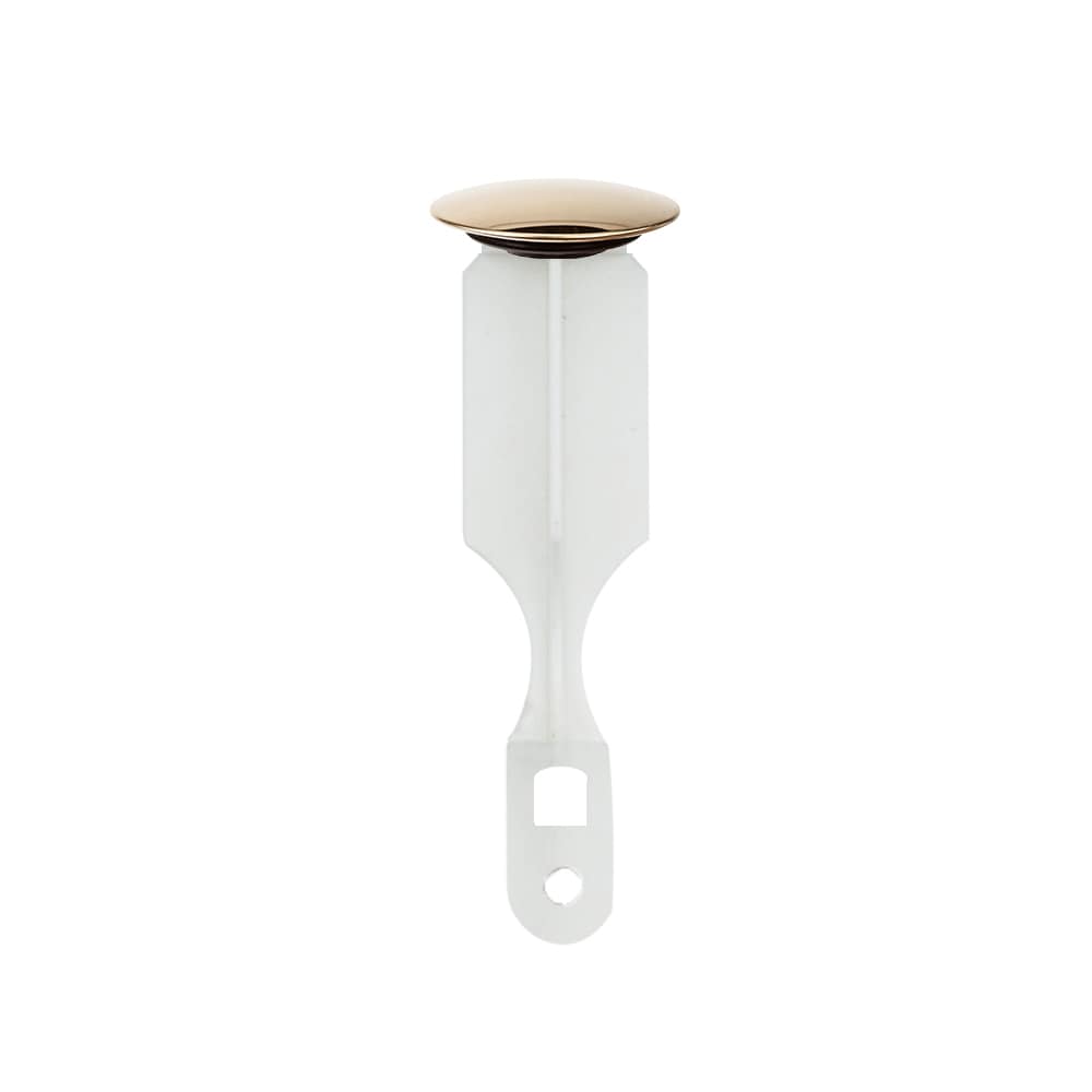PF WaterWorks PF0242 Polished Brass Universal Sink stopper