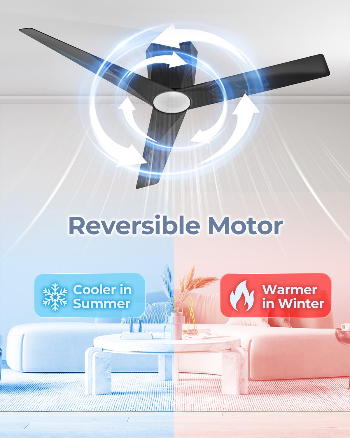 TALOYA TLY-ZT-BK-X52 Ceiling-Fans - View #5