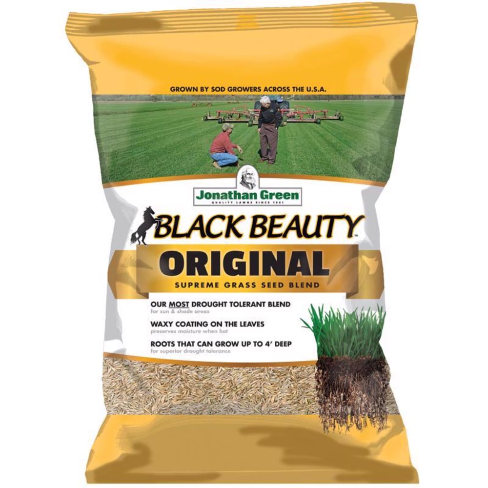Jonathan Green -  Black Beauty Original Tall Fescue Blend Tall Fescue Grass Sun or Shade Grass Se...