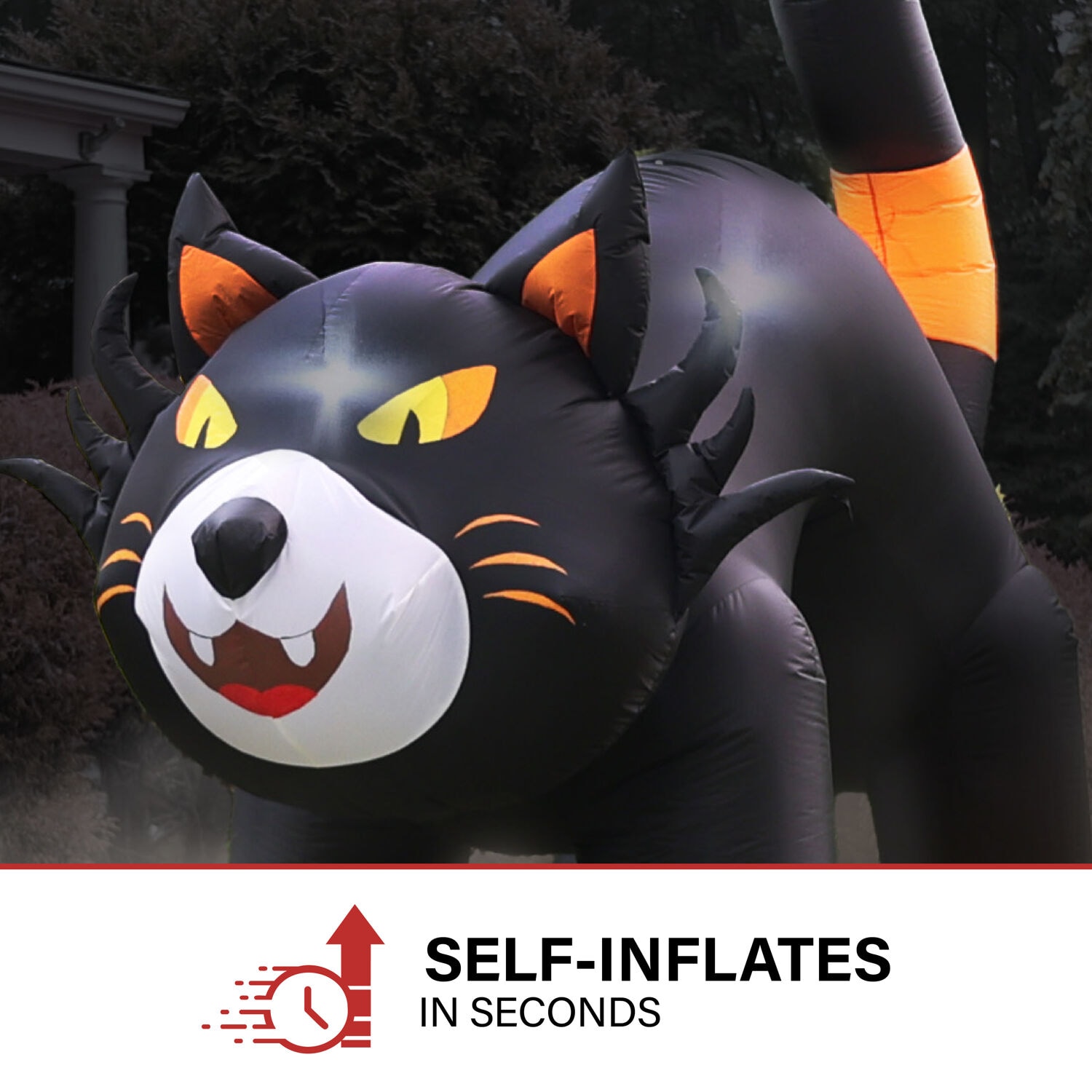 Haunted Hill Farm HIBCAT103-L Outdoor-Halloween-Decor - View #5