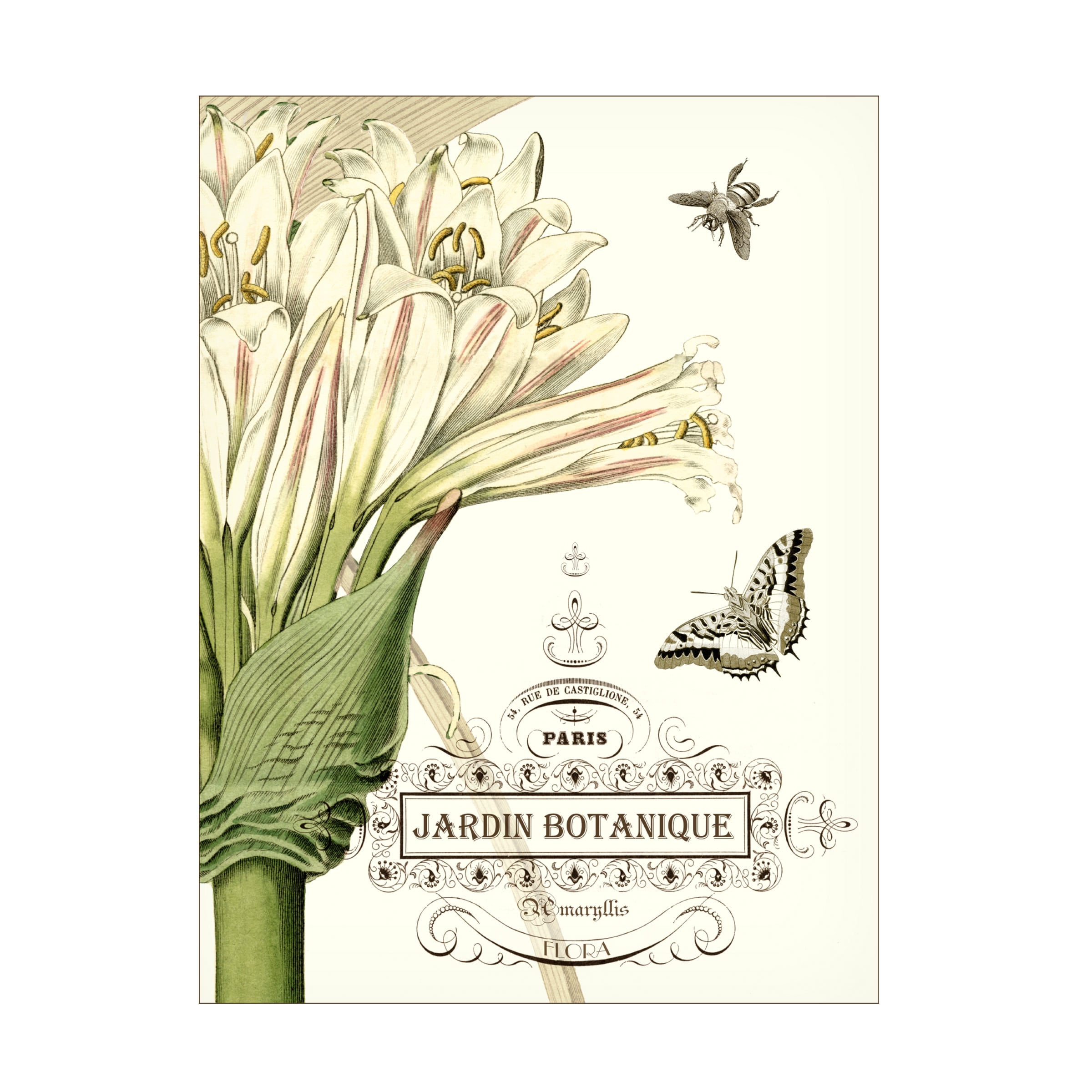 Trademark Fine Art Vision Studio Jardin Botanique Ii Canvas Art - 24x32