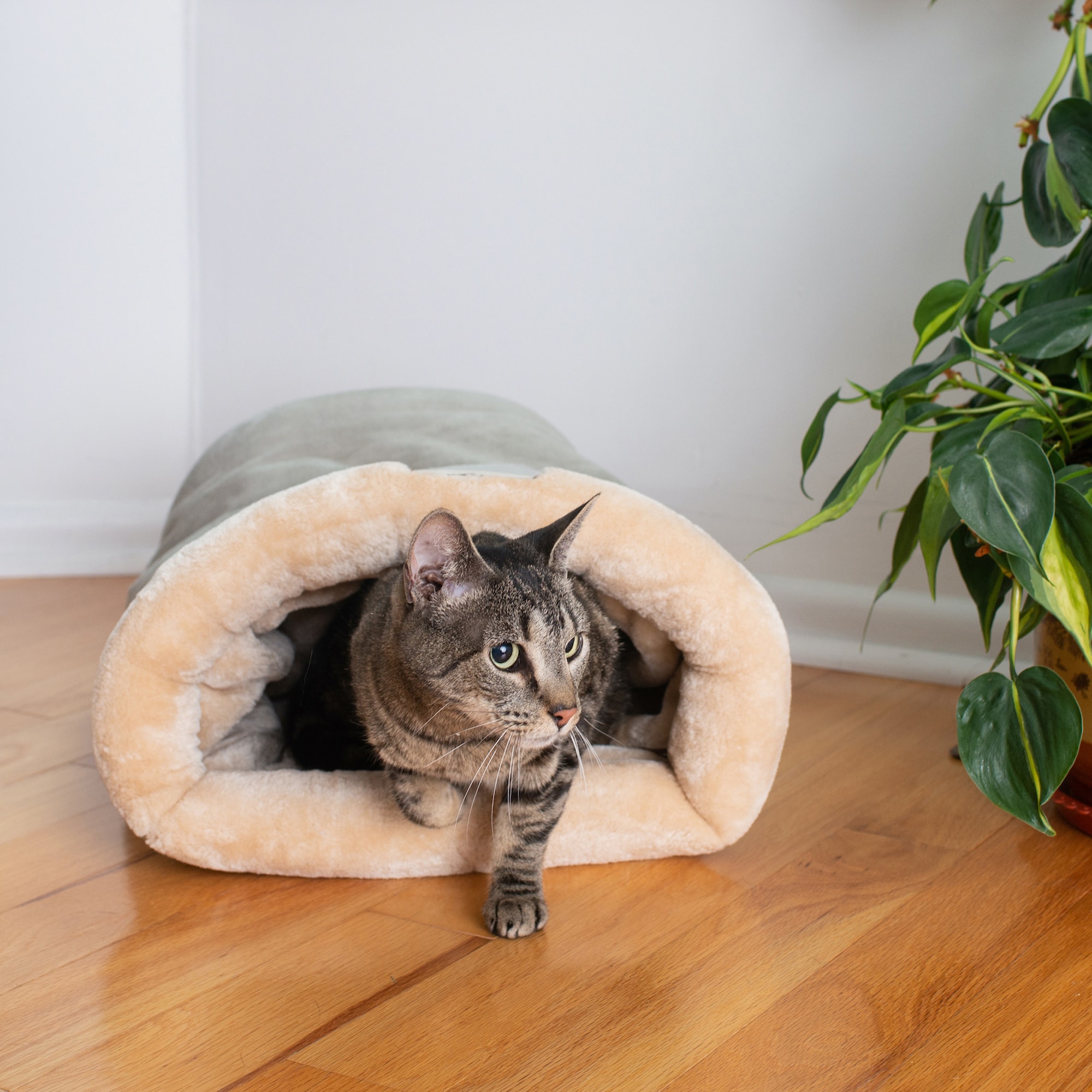 Armarkat C15HHL/MH Pet-Beds - View #10