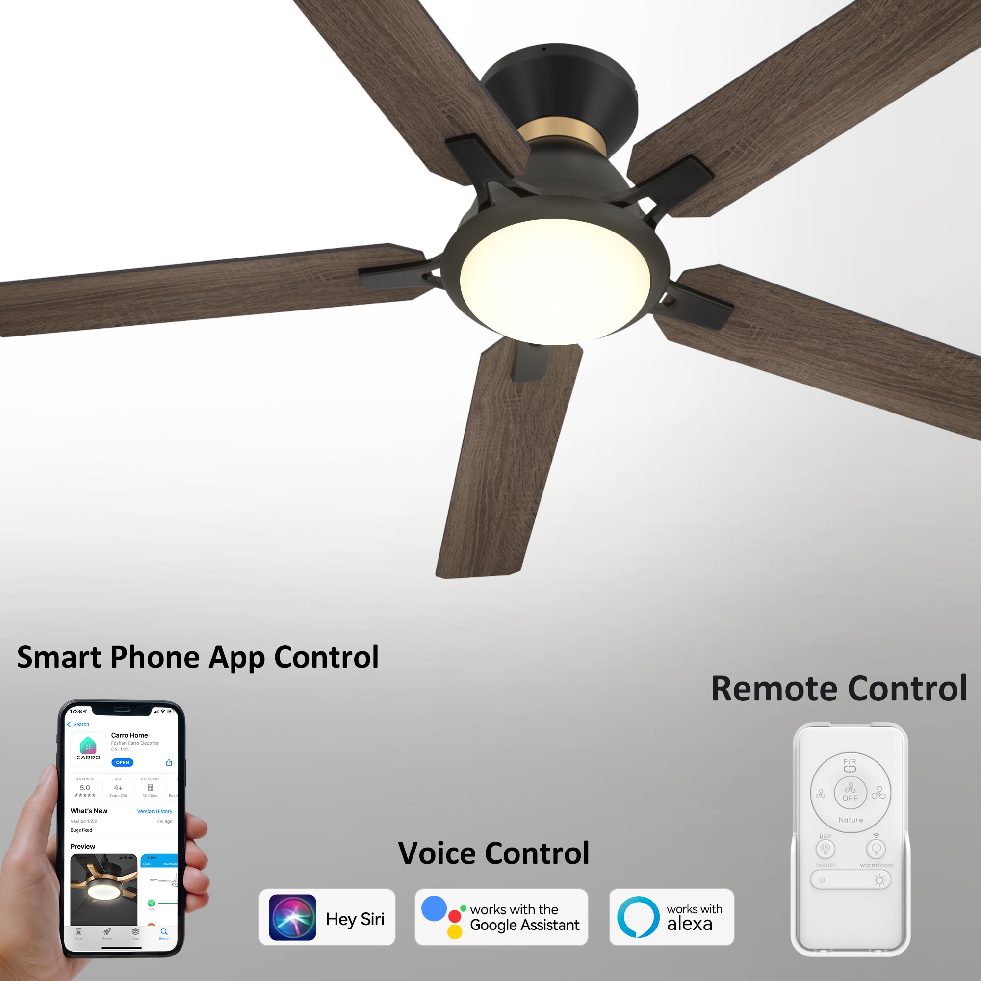 CARRO USA LS525J-L12-BO-1-FMA Ceiling-Fans - View #2