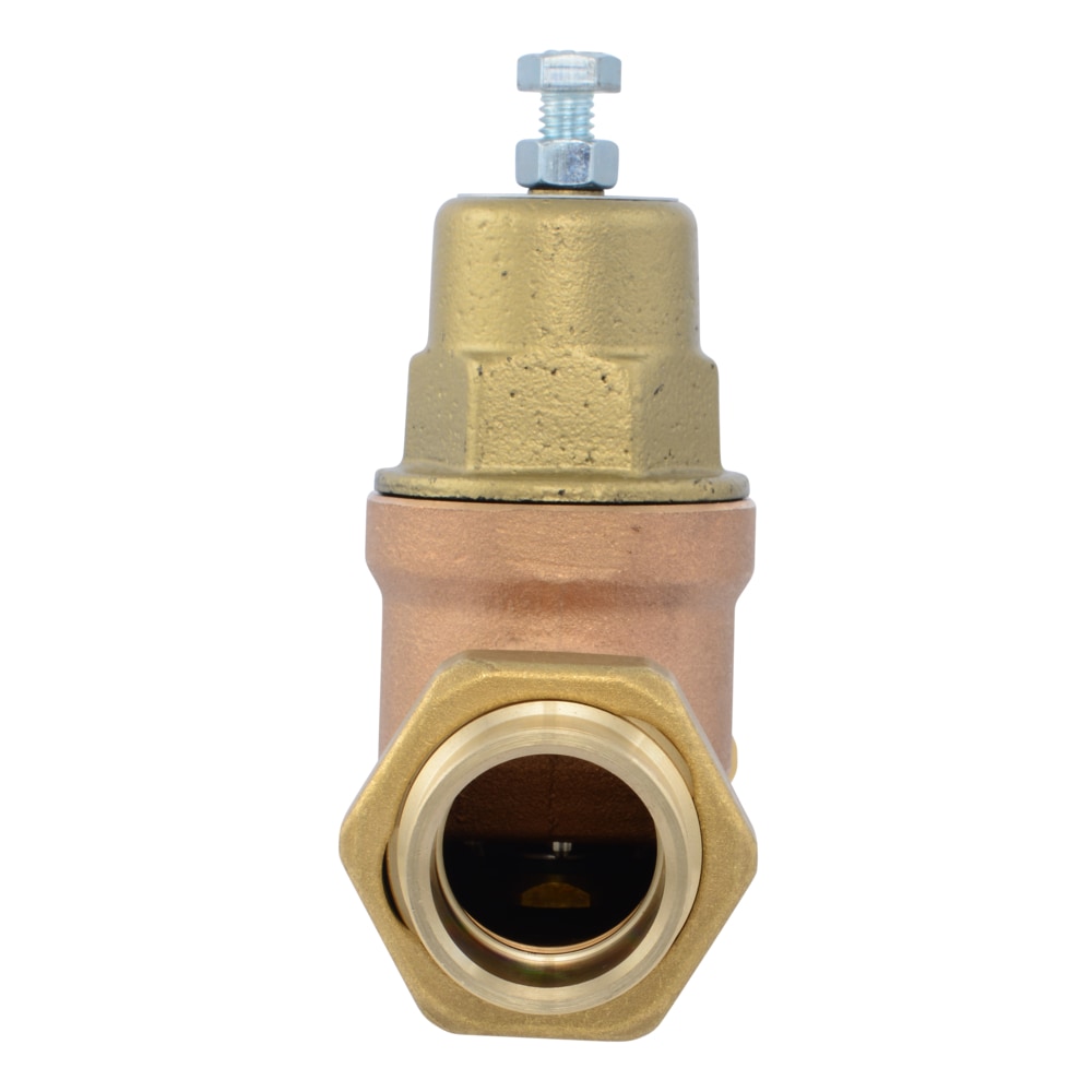 Cash Acme PVA20M-DUSW-60 Pressure-Relief-Valves-Regulators - View #2