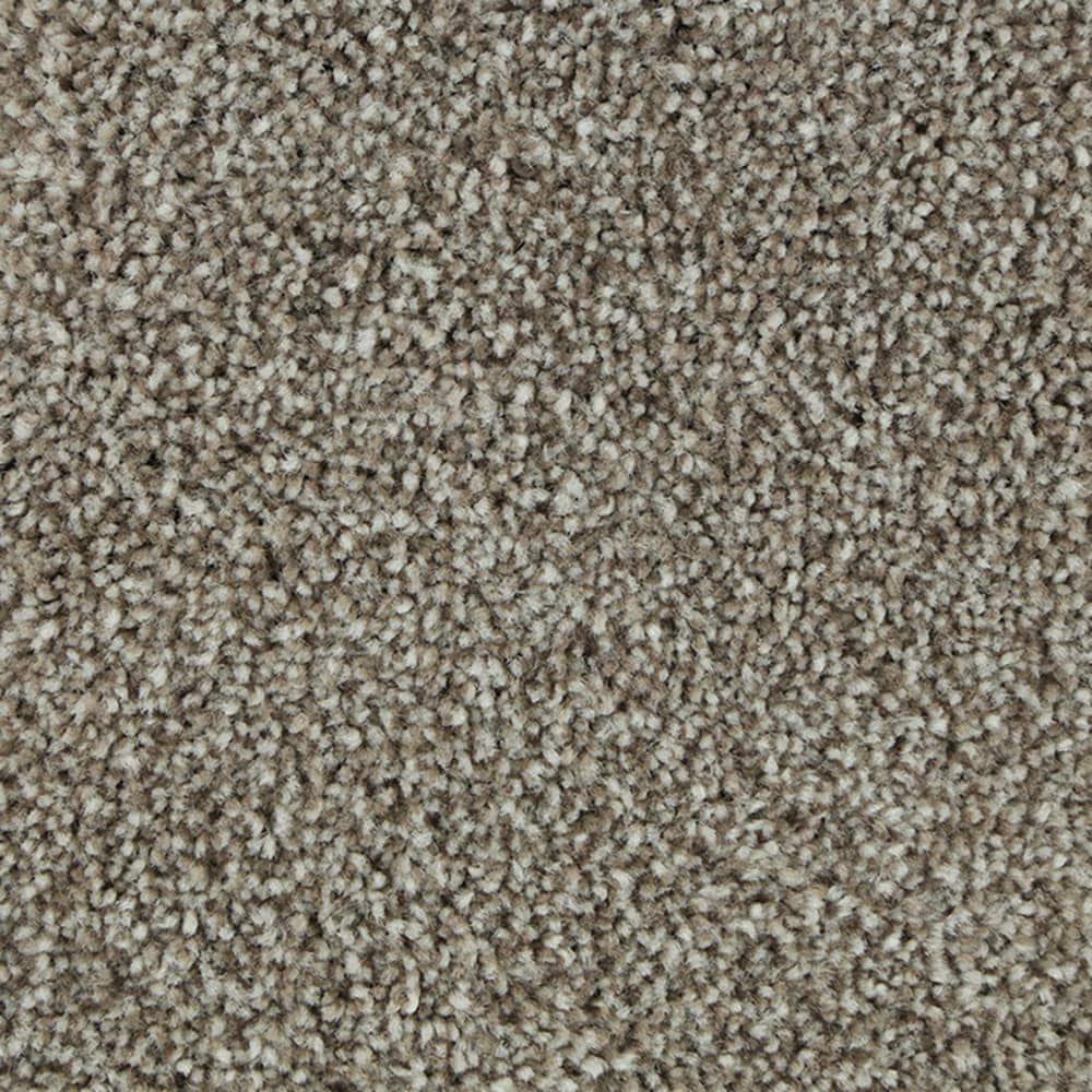 STAINMASTER STP51-15-L008 Calming Stride II Prairie Dusk Brown 60-oz sq yard Triexta Textured Indoor Carpet