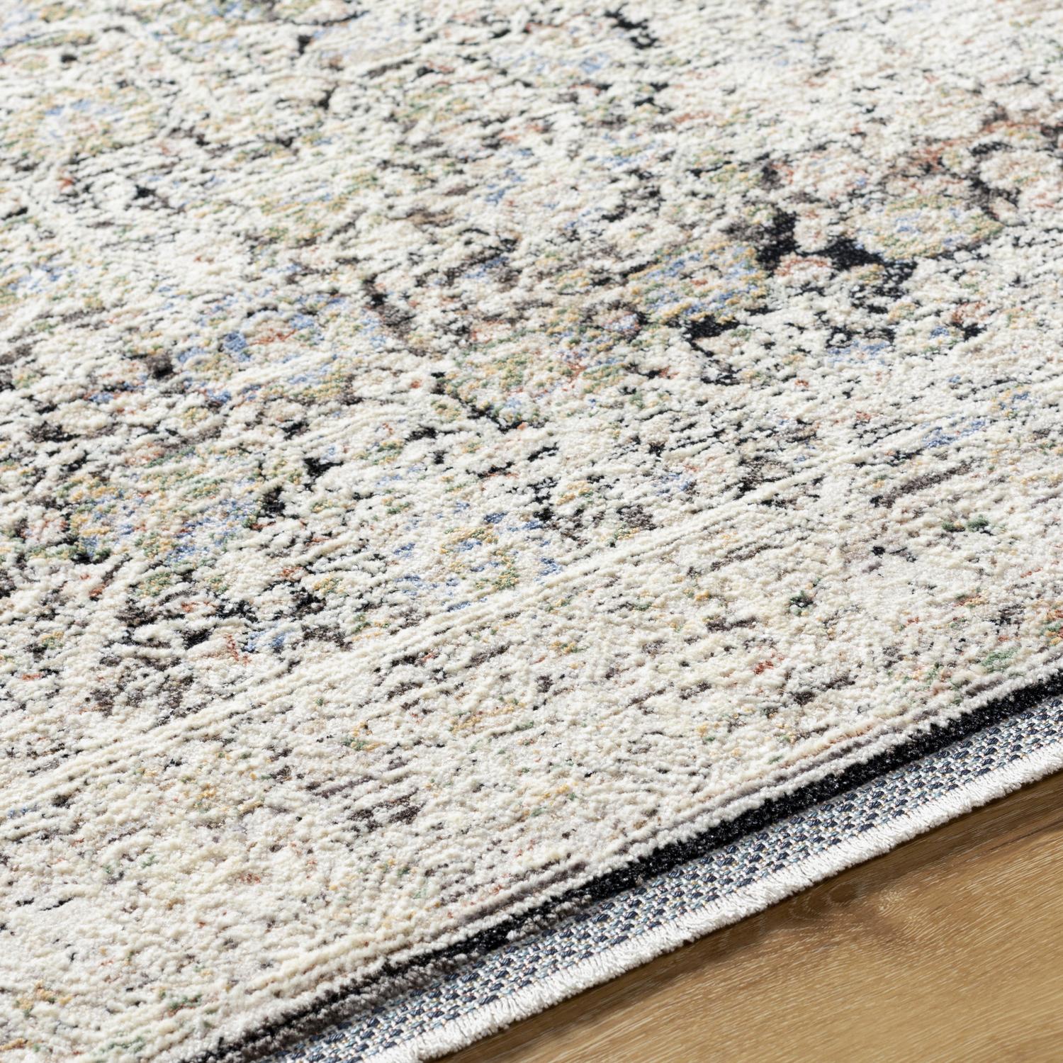 Livabliss RVD2300-71010 rugs - View #6
