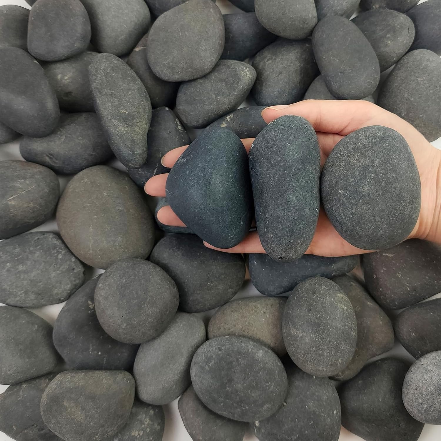 FANTIAN 5 lb Natural Black River Rock Pebbles 2 to 3 Inch Decorative Stones for Landscaping Aquariums Garden Walkways Fountains and Planters