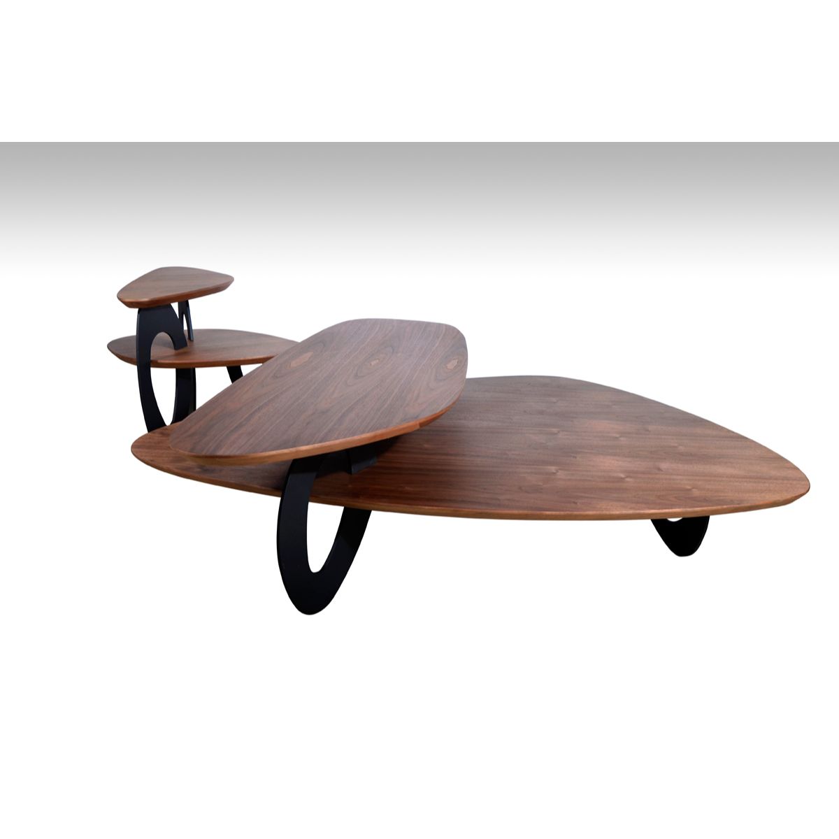 HomeRoots 282753 End-Tables - View #3