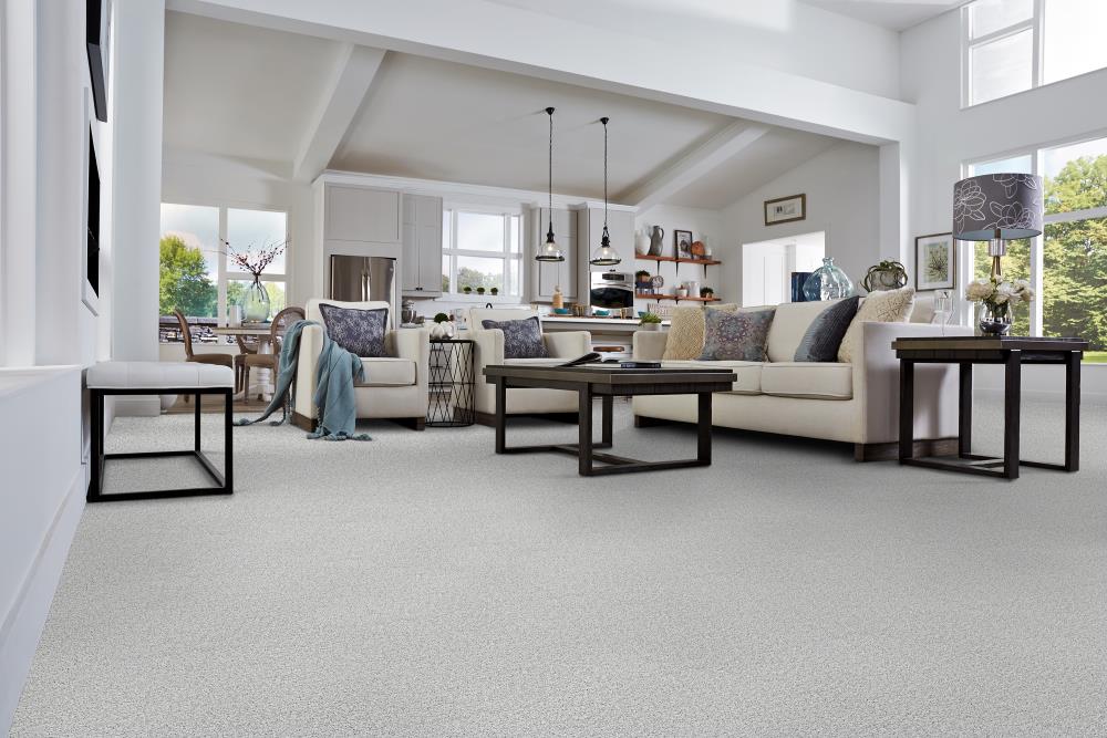 STAINMASTER DL047-423S Carpet-Samples - View #2