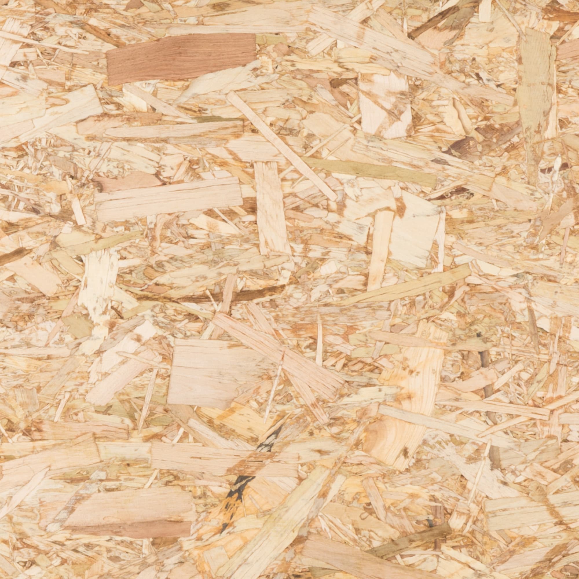  00021 Llc-Plywood - View #4