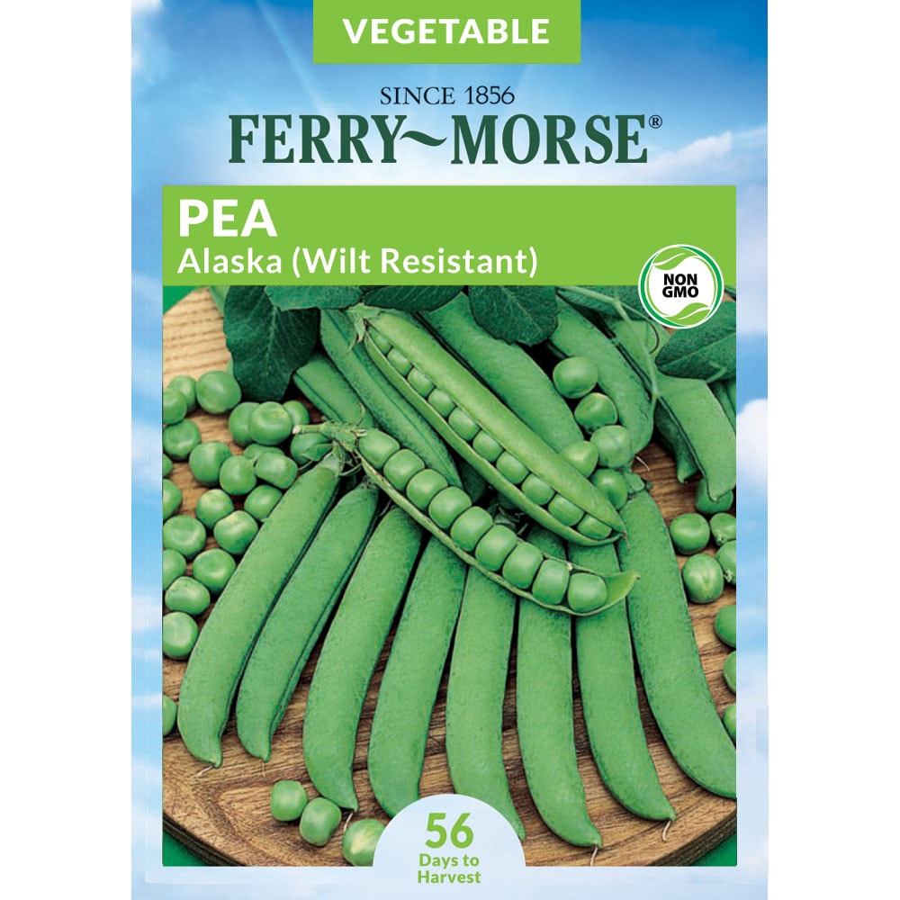 Ferry-Morse 914877.219.641940 Pea Resistant Alaska Wilt Vegetable Seeds 13 Gram(s)