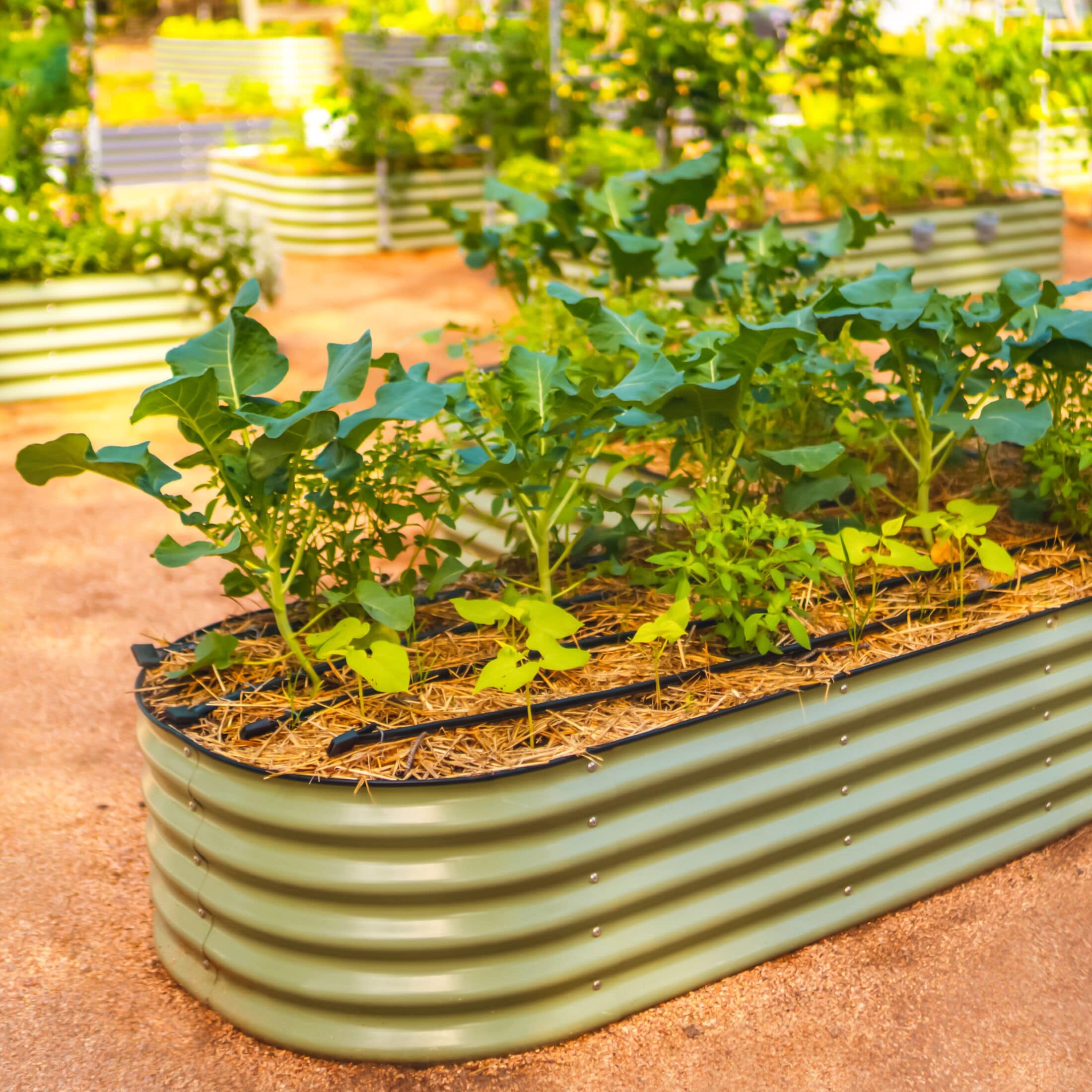 Vego Garden VBLLG17G Raised-Garden-Beds - View #4
