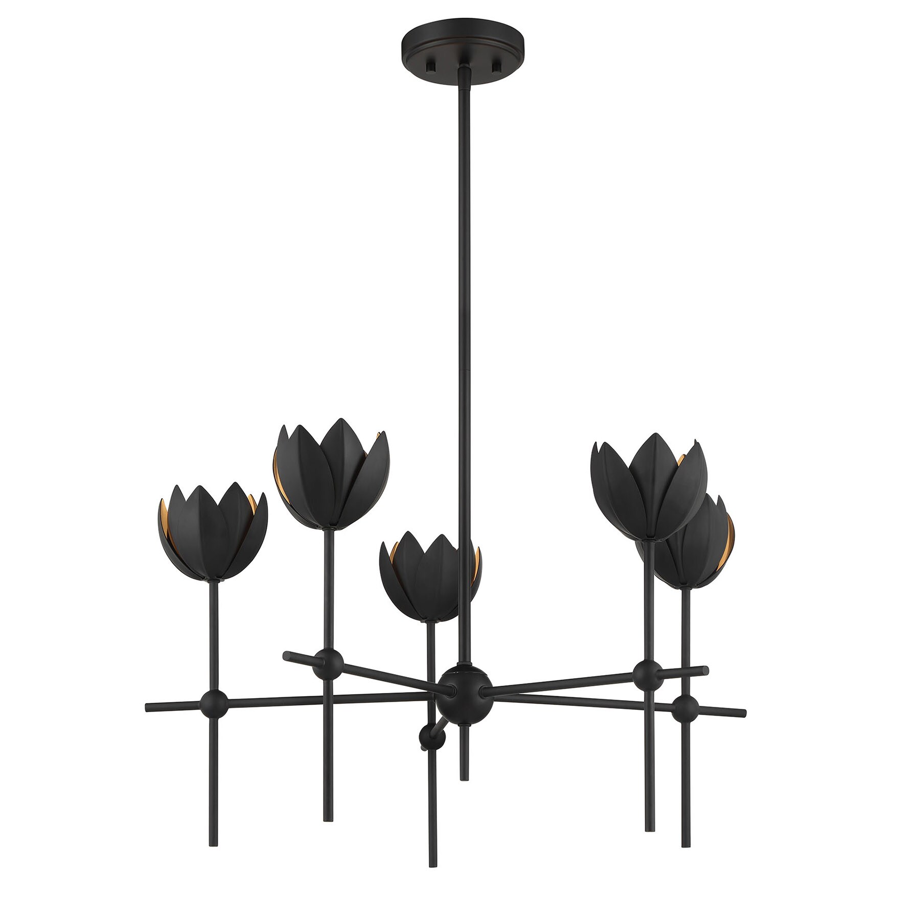 Meridian Lite Trends M100131MBK b090015 - View #5