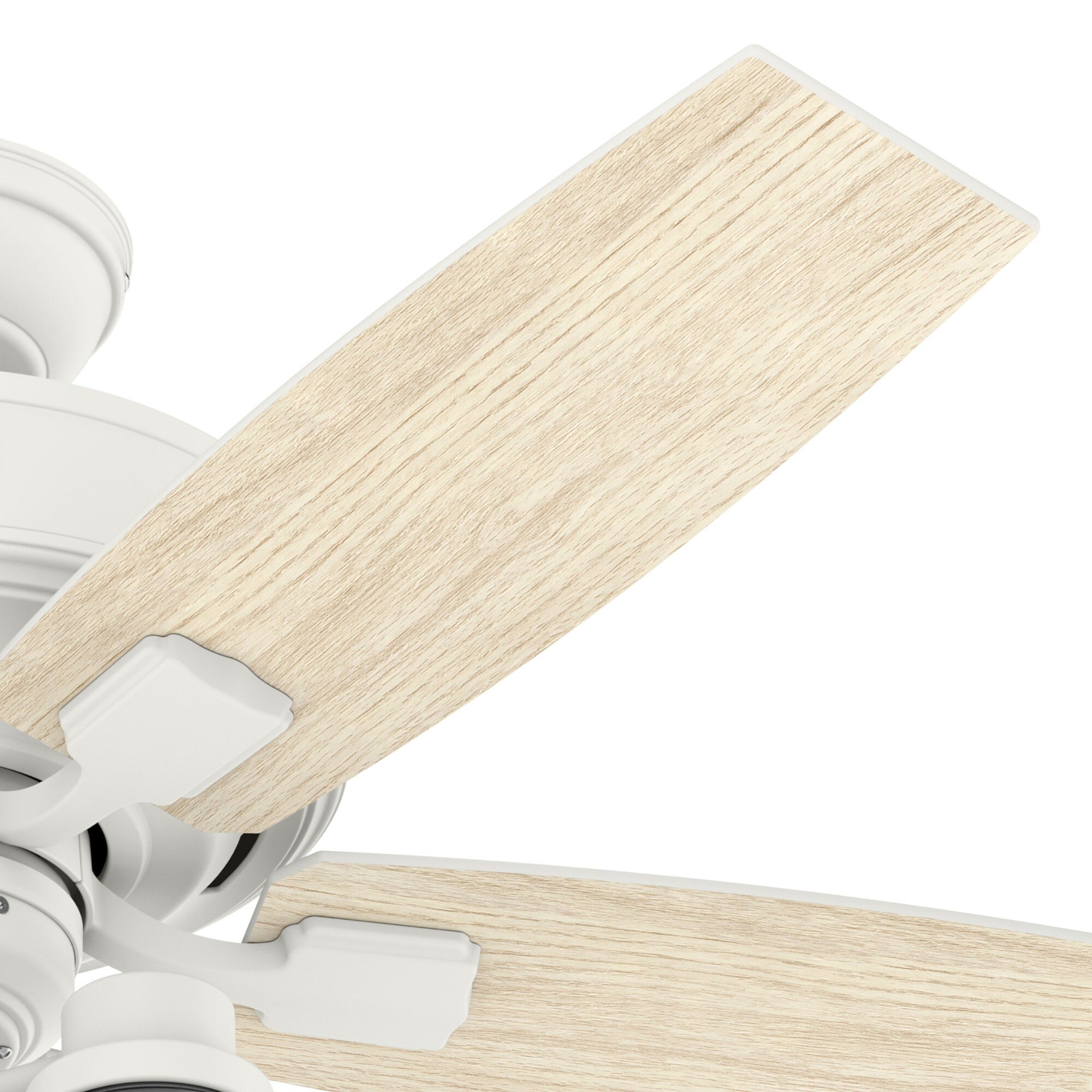 Hunter 50418 Ceiling-Fans - View #6
