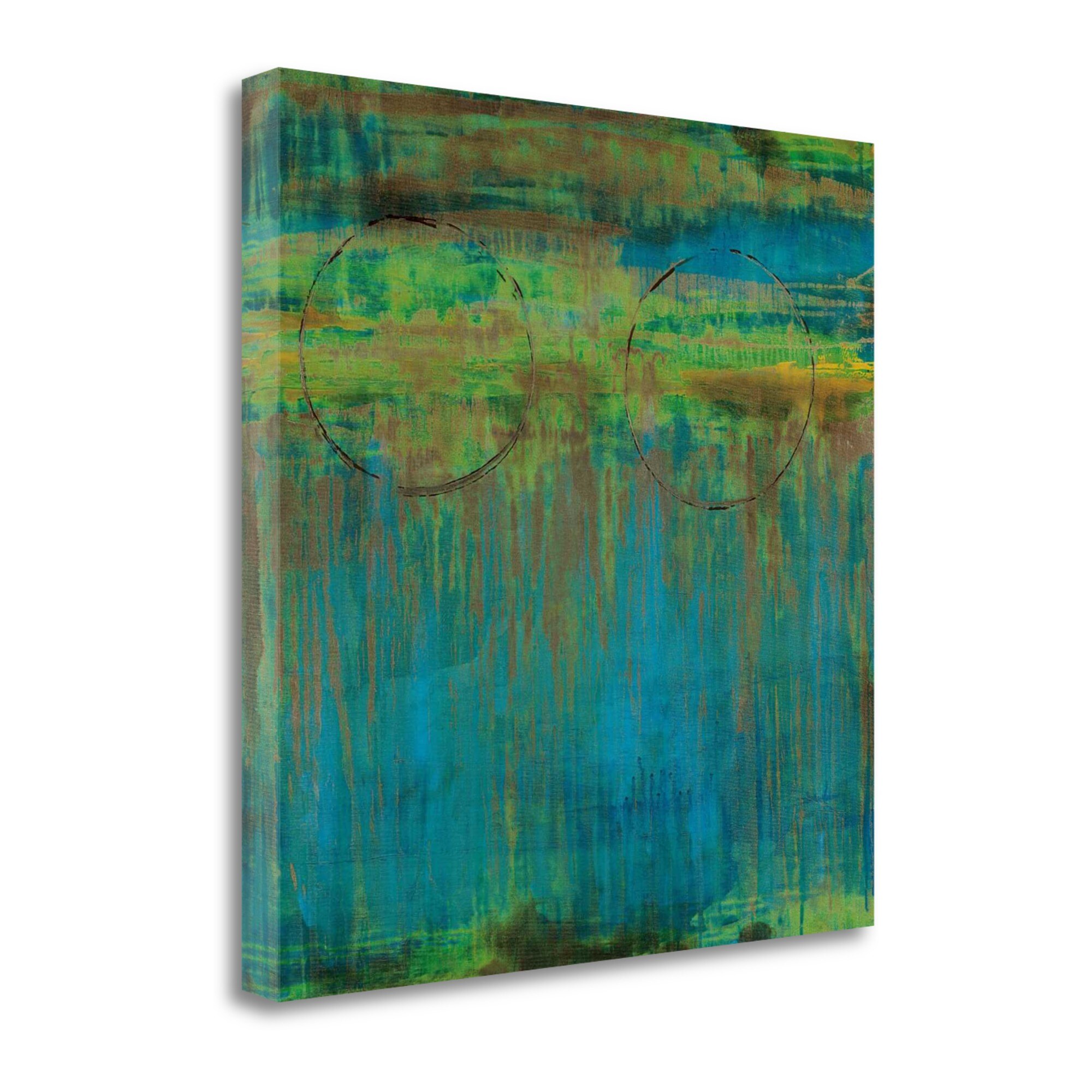 Tangletown Fine Art CAJLP525-2020C Lime Slice Ii Liz Jardine 20-in H x 20-in W Abstract Print on Canvas