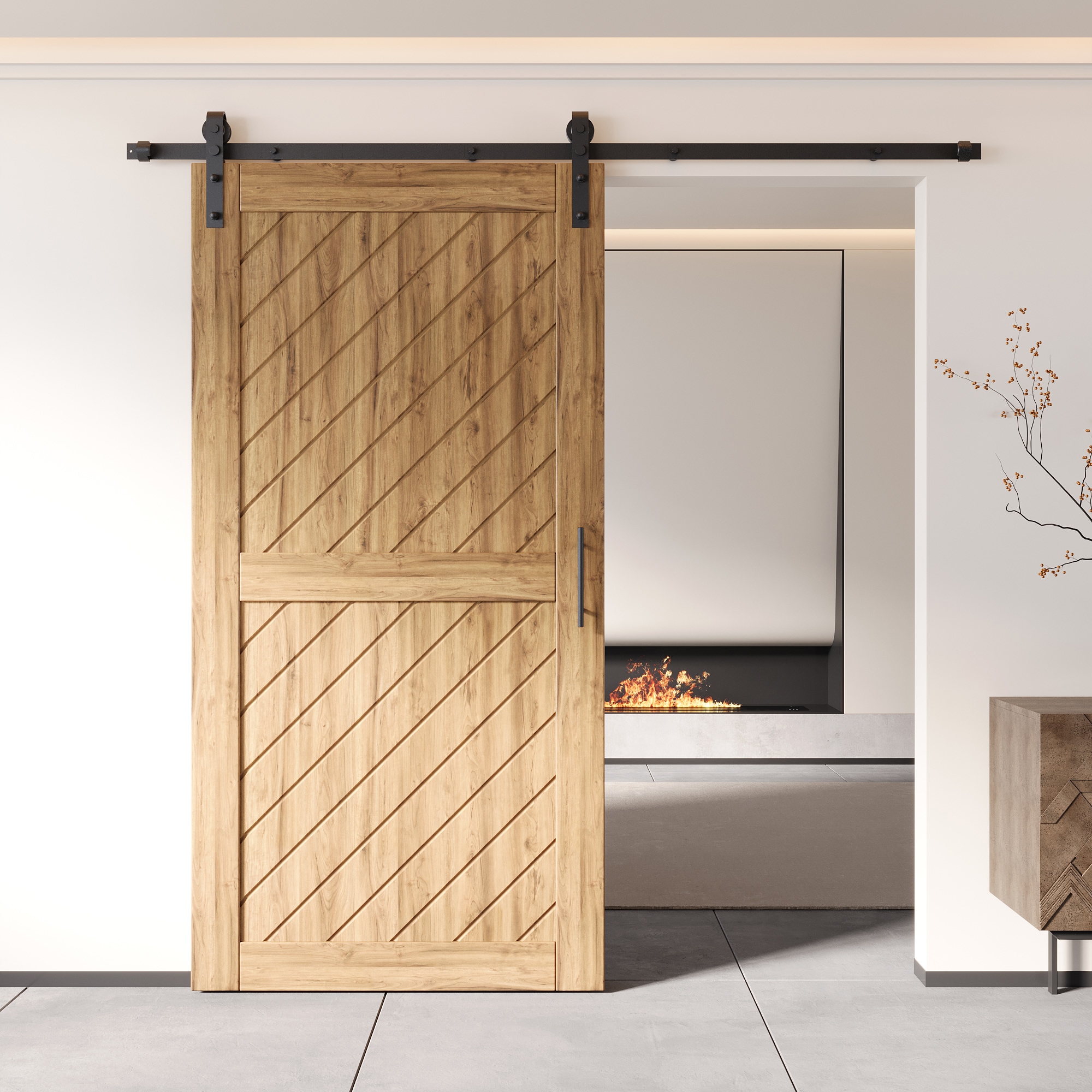 HOMACER YT1TGH066C-XT1-3280 Barn-Doors - View #8