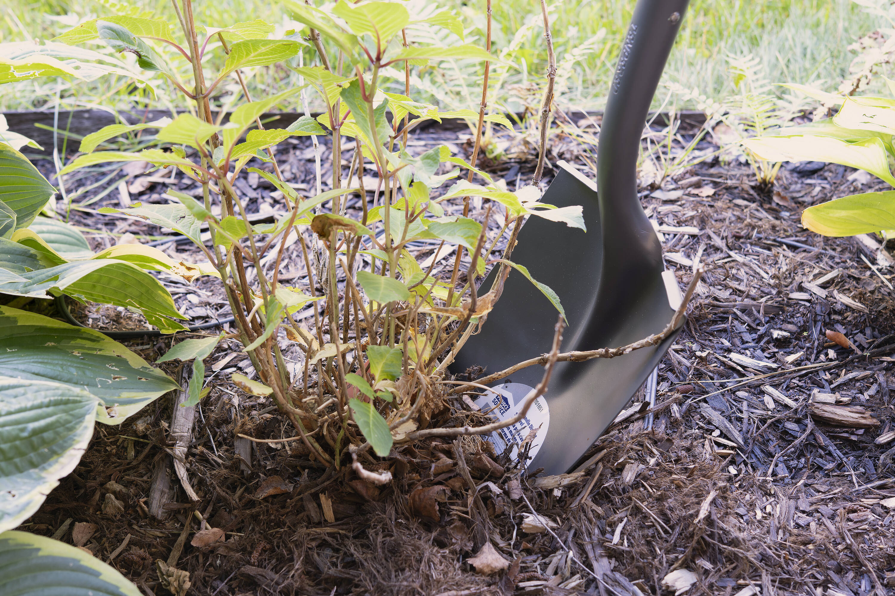Project Source 8202 Shovel-Spade - View #8